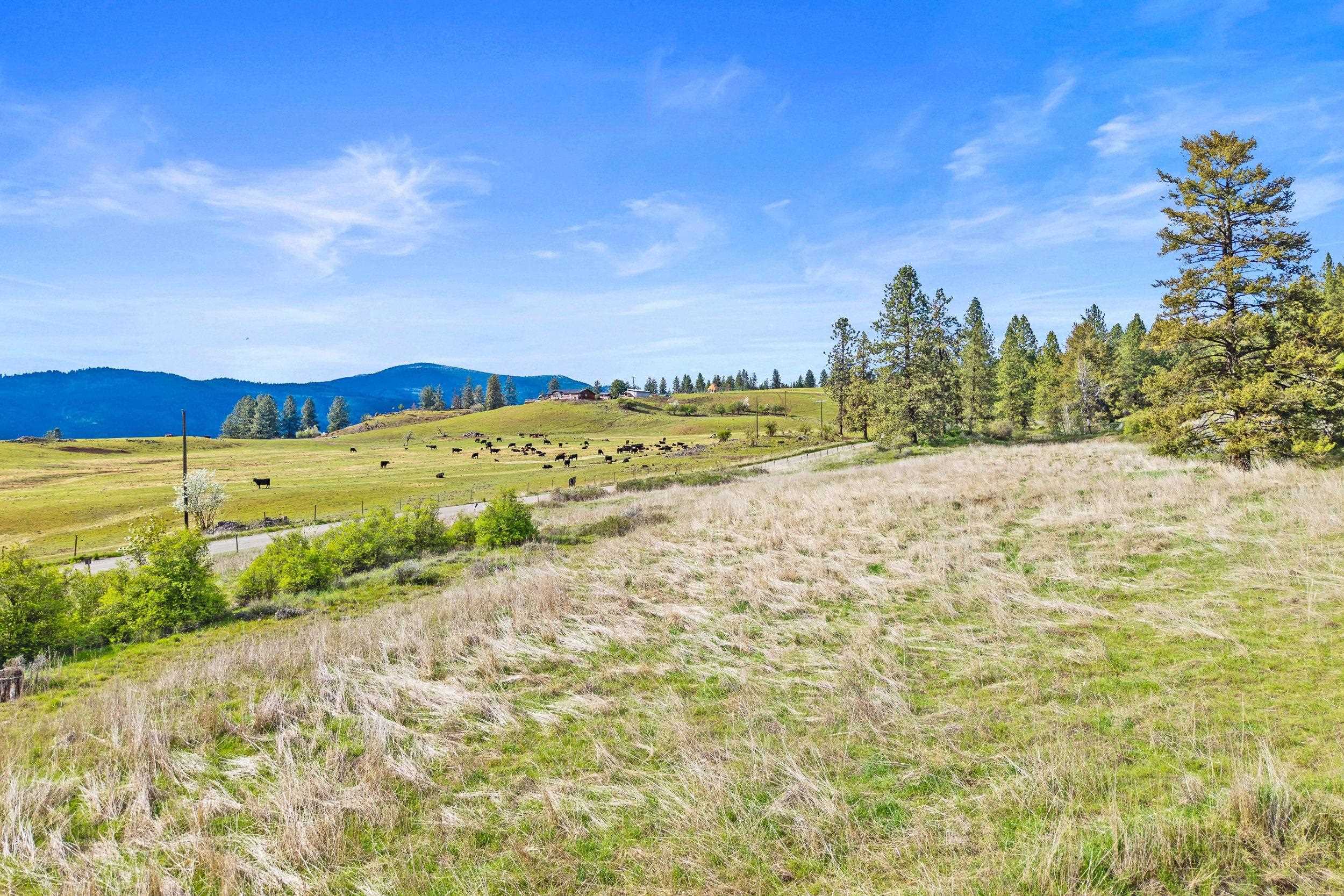 NKA Goddard Rd - Photo 17