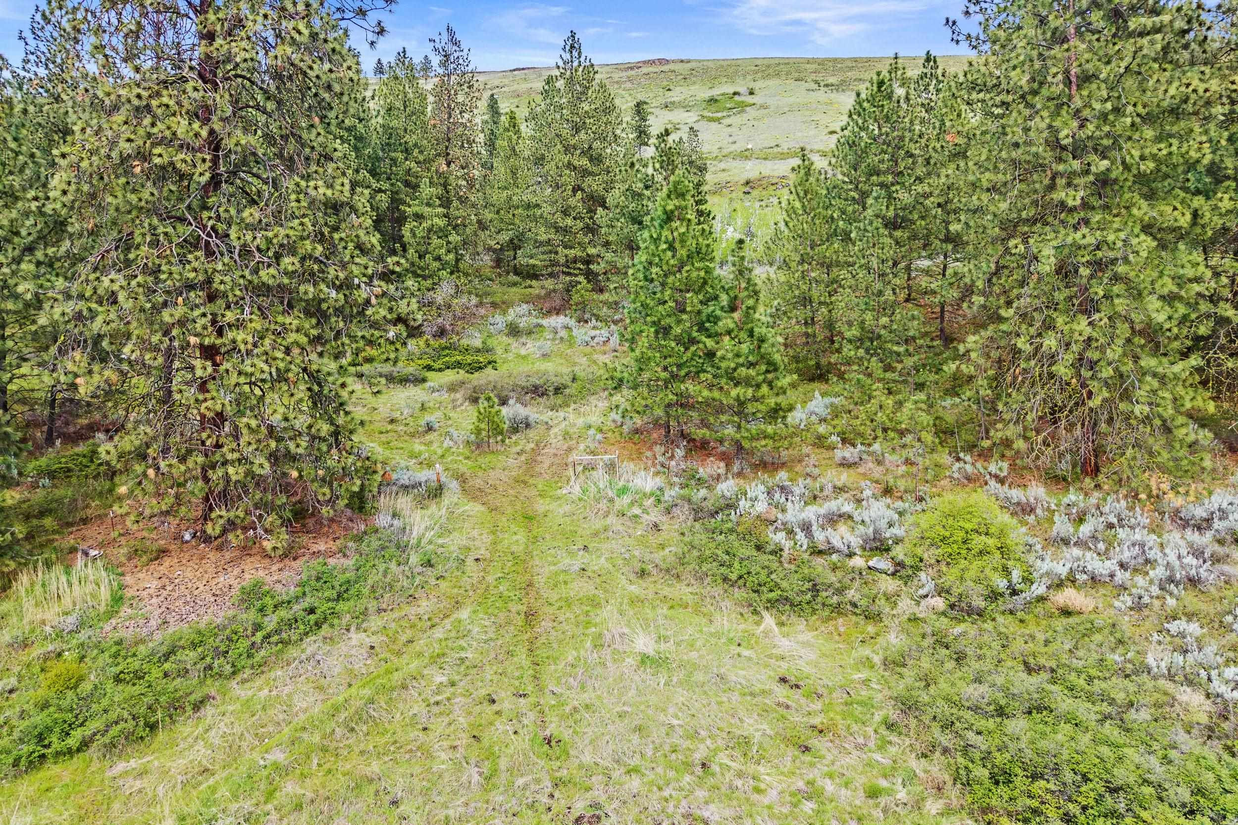 NKA Goddard Rd - Photo 18