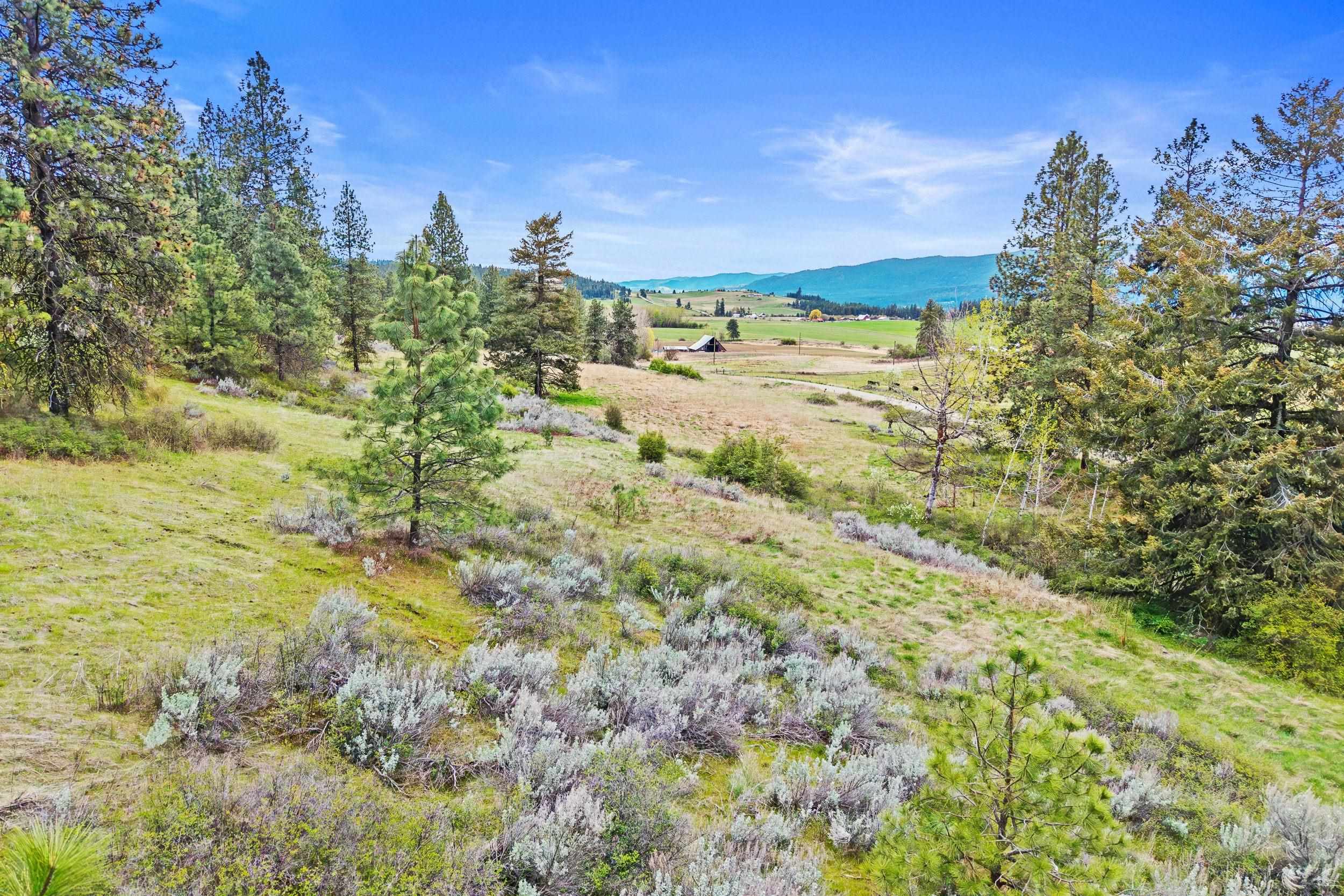 NKA Goddard Rd - Photo 32