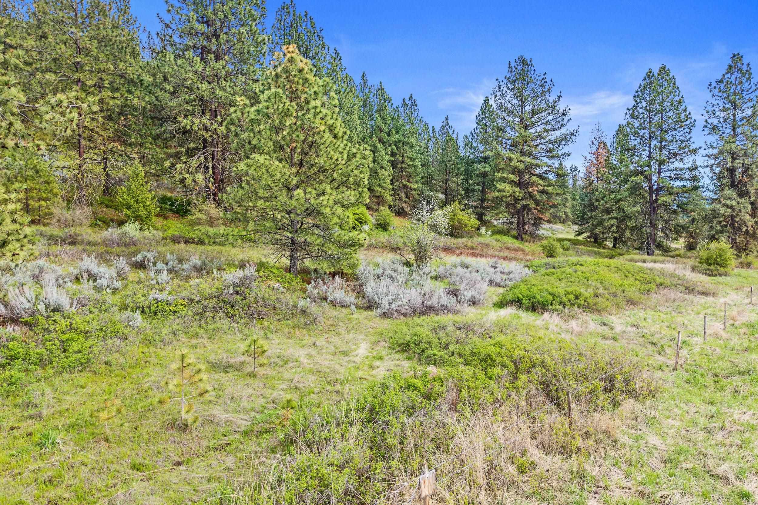 NKA Goddard Rd - Photo 40