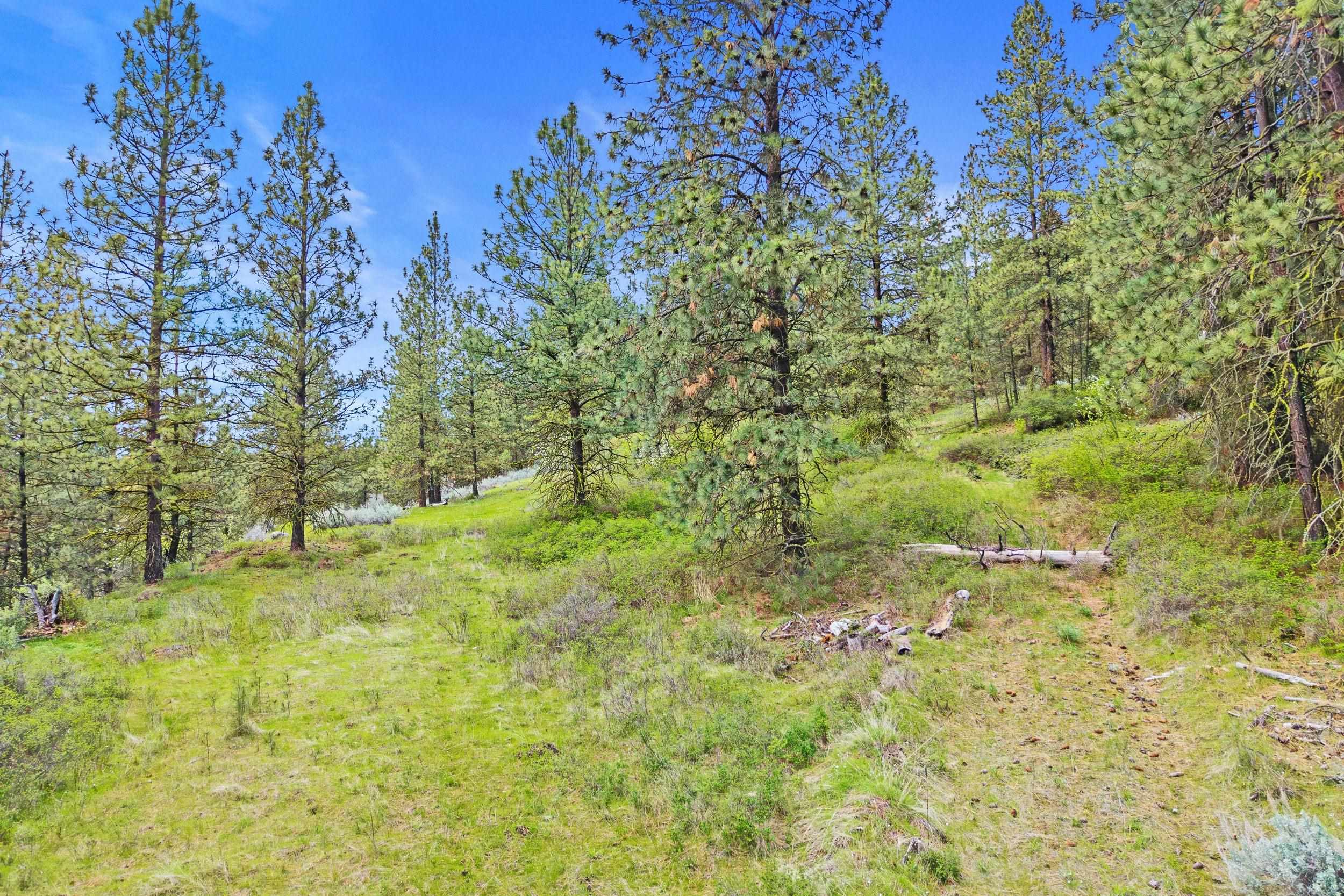 NKA Goddard Rd - Photo 42