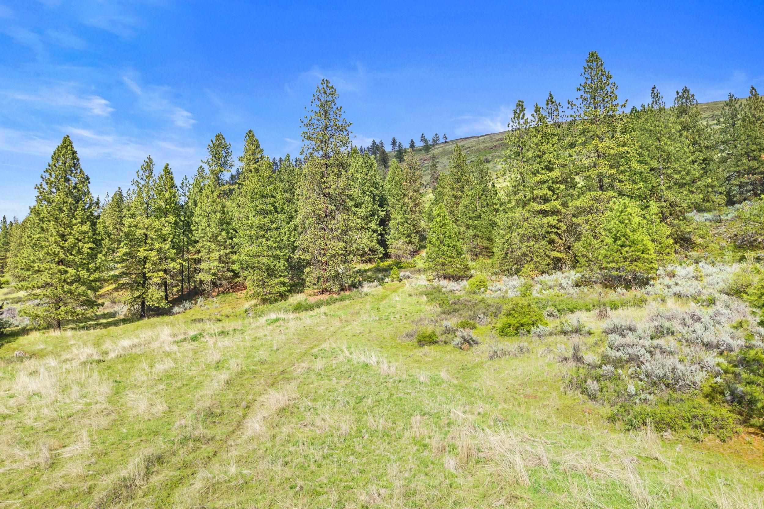 NKA Goddard Rd - Photo 46