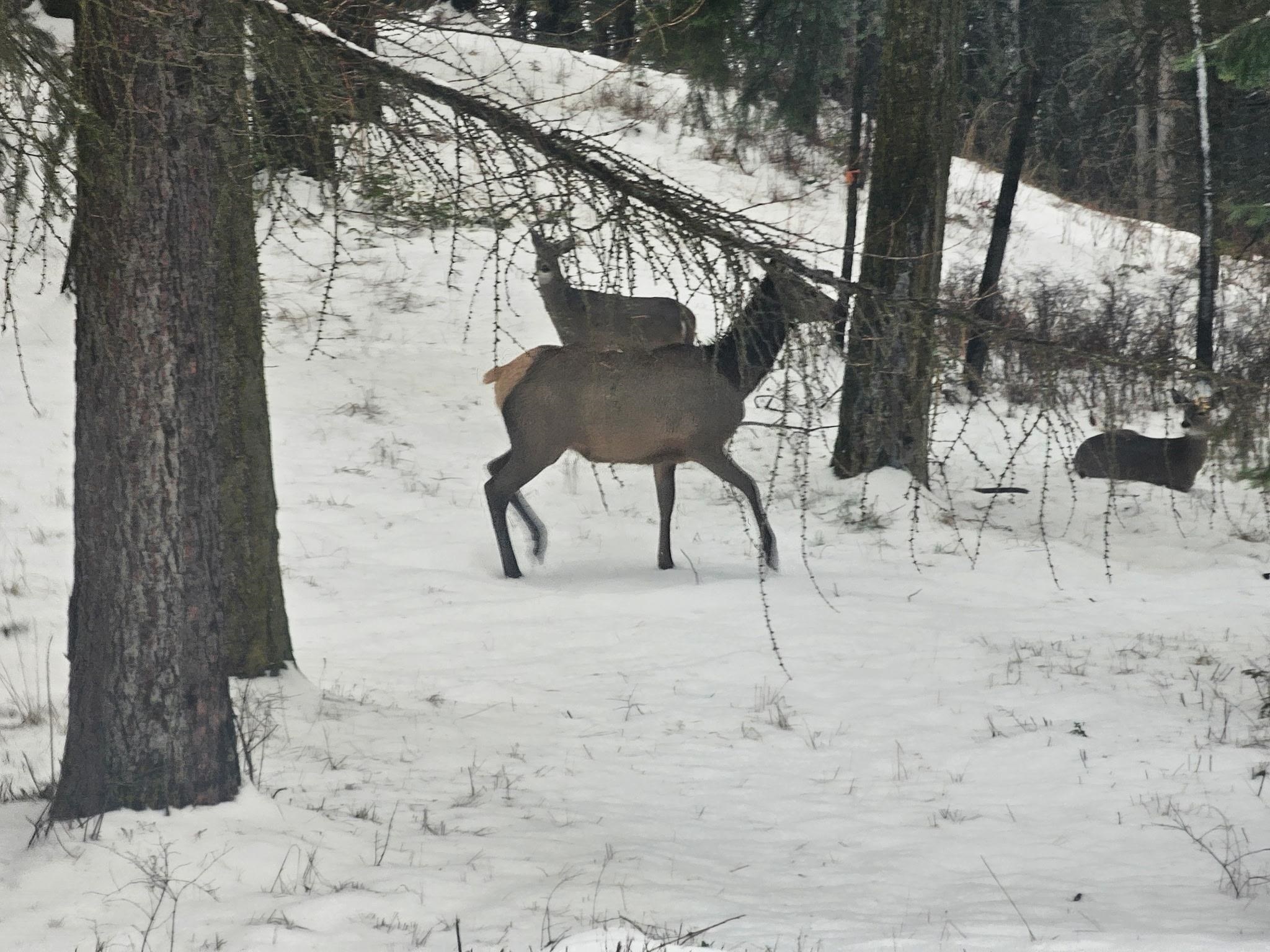 2600 Highline Rd - Photo 21