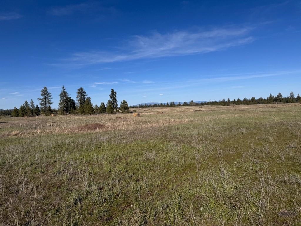 XX257 Hayford Rd - Photo 12