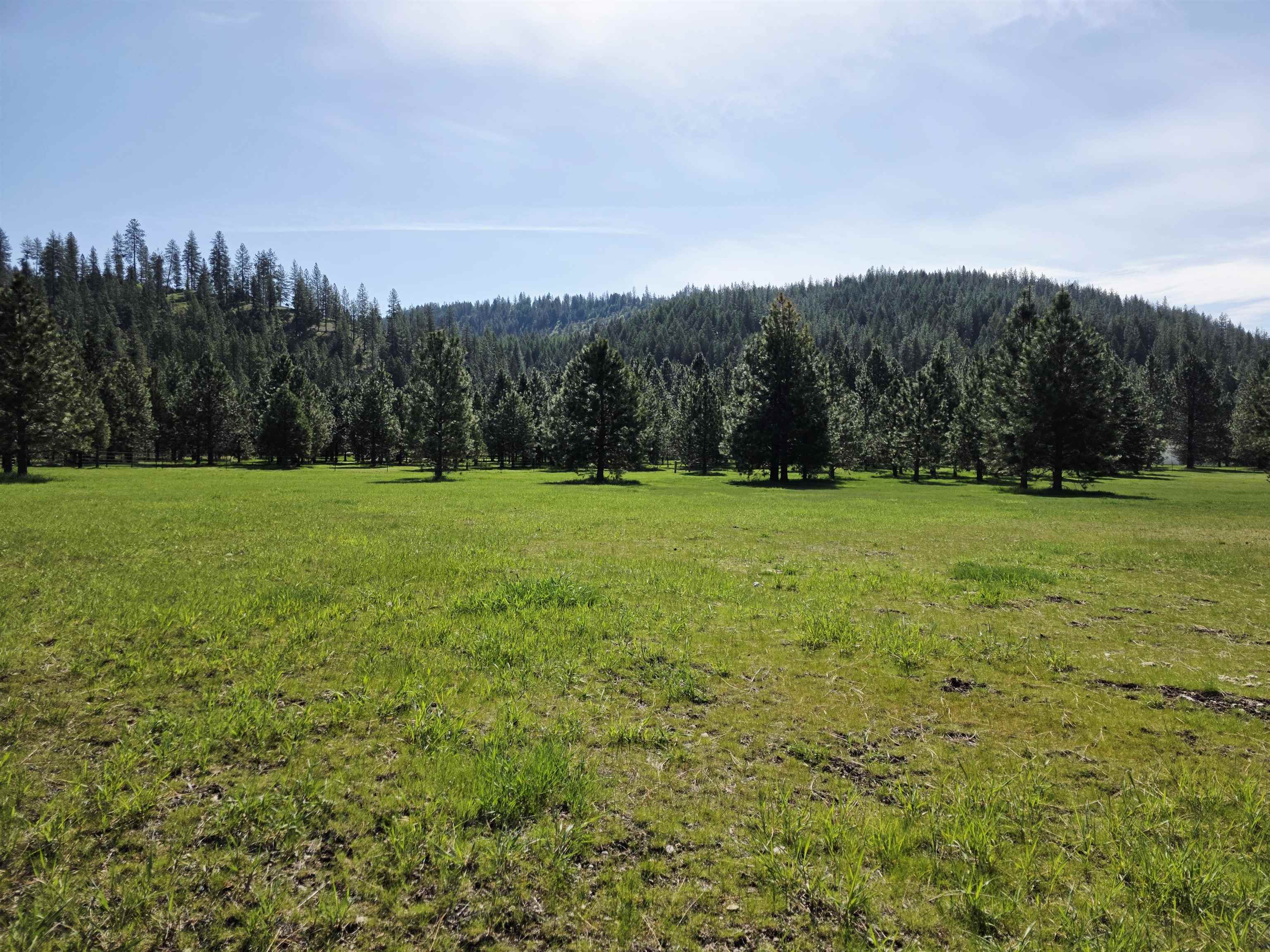 4417-D HWY 231 - Photo 35