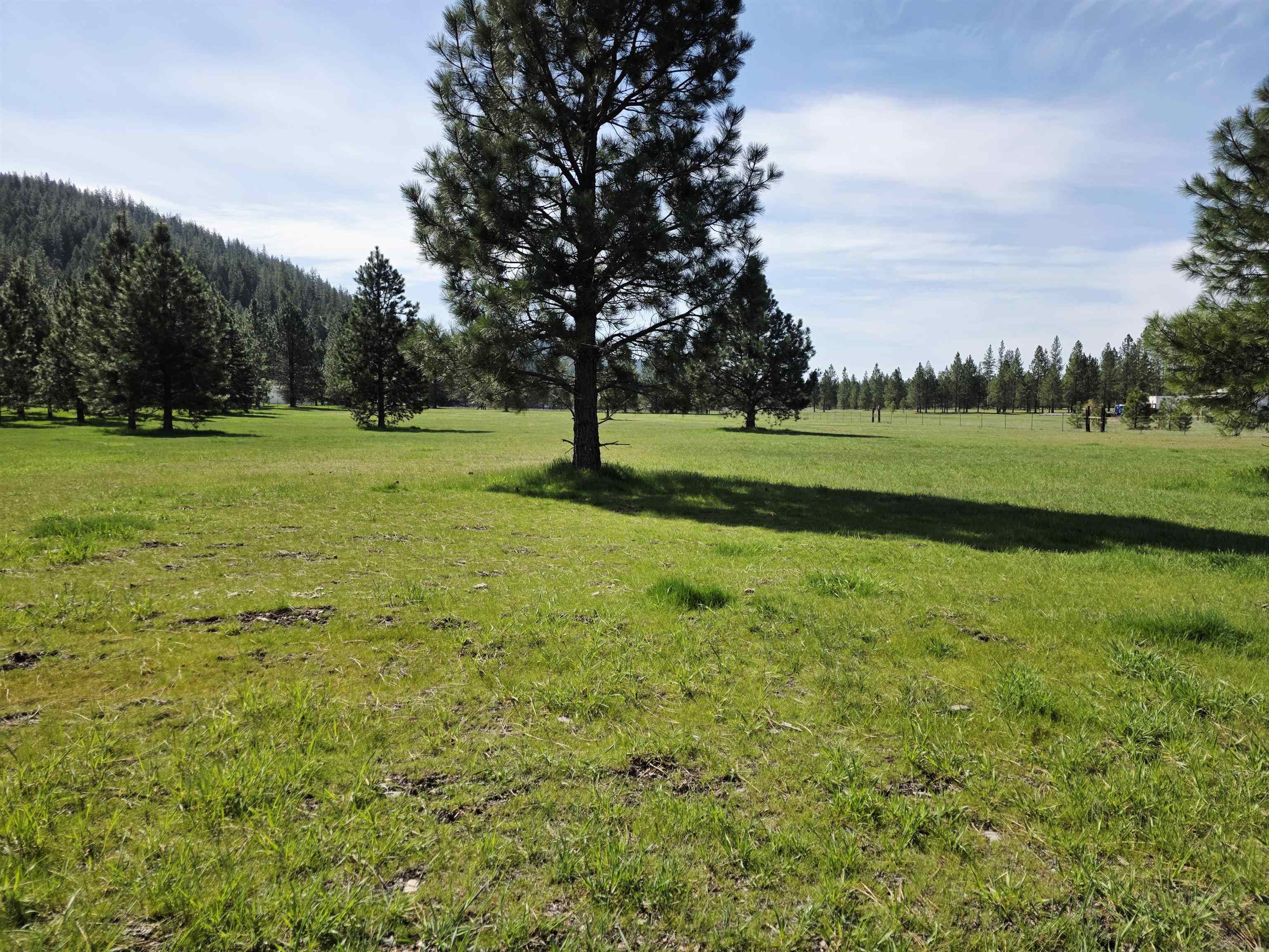 4417-D HWY 231 - Photo 49