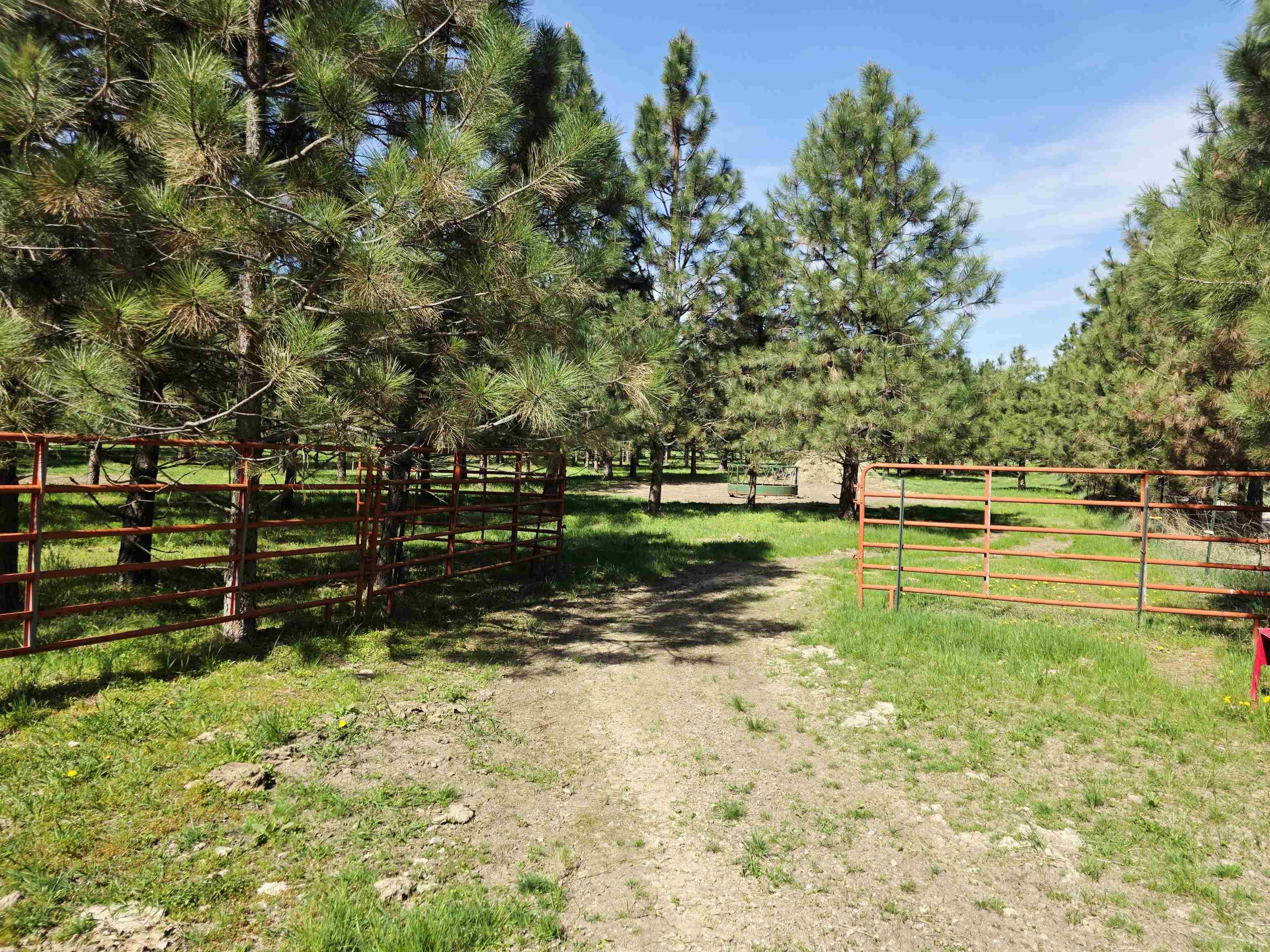 4417-D HWY 231 - Photo 36