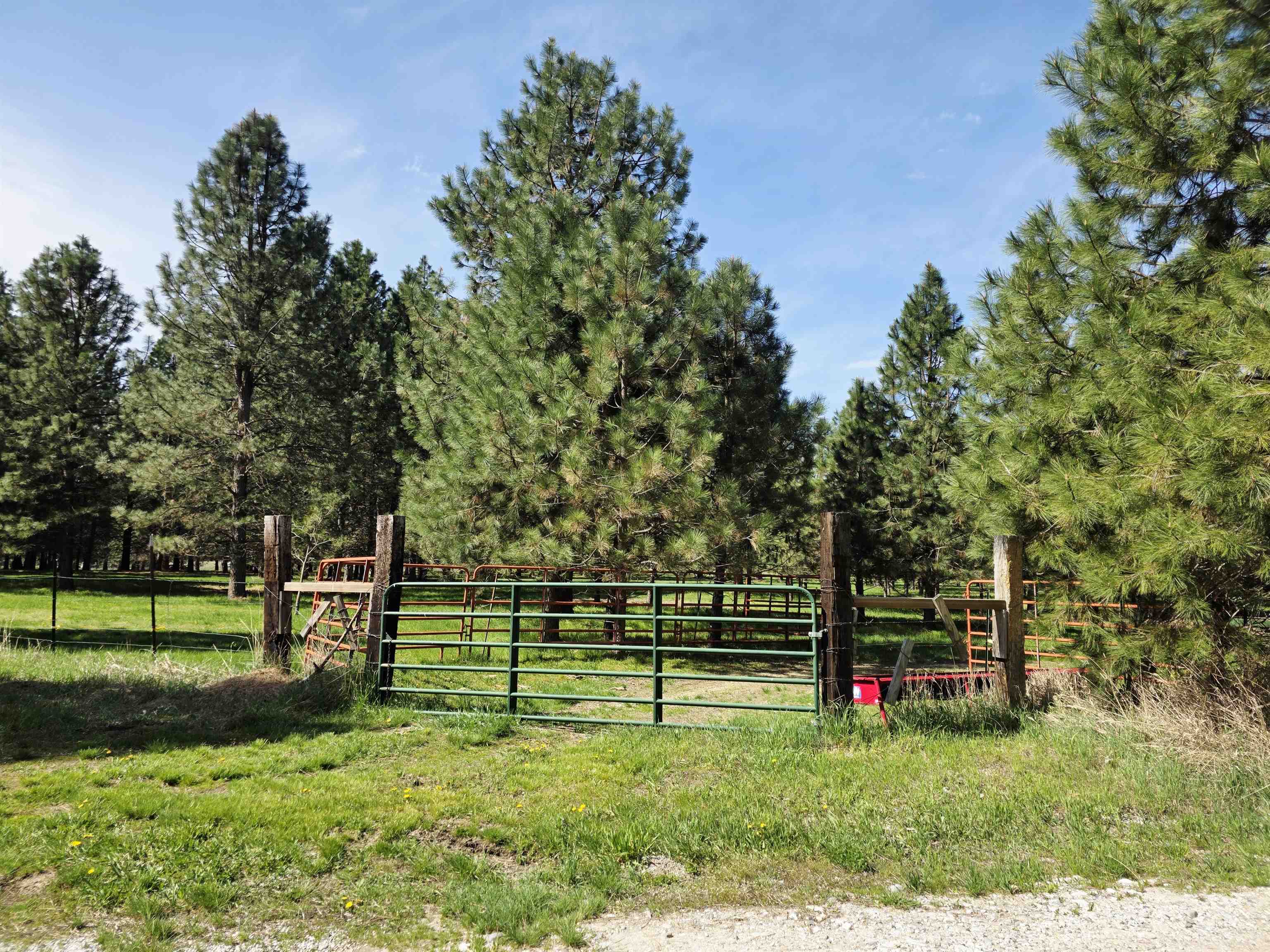 4417-D HWY 231 - Photo 32