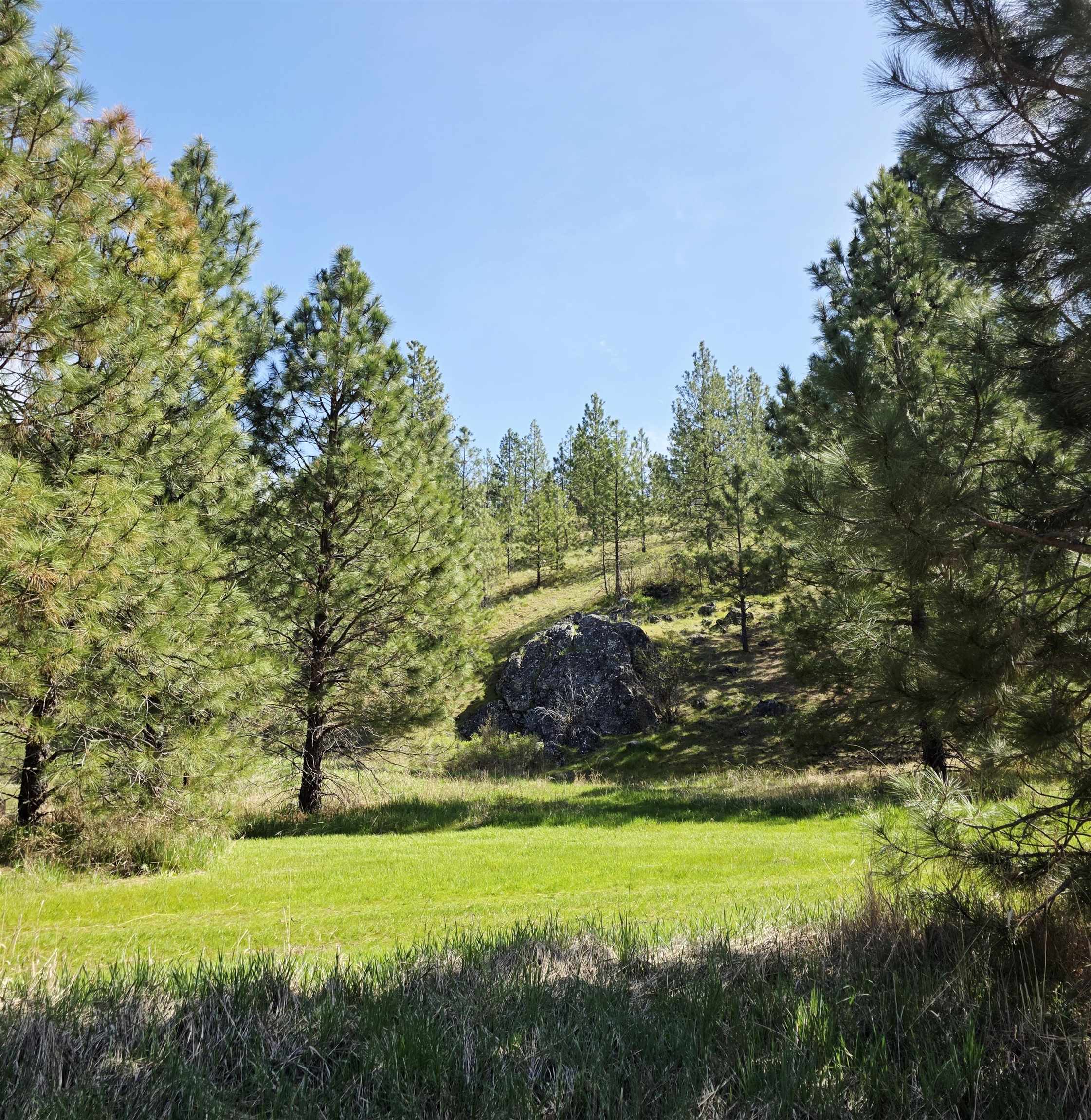 4417-D HWY 231 - Photo 33