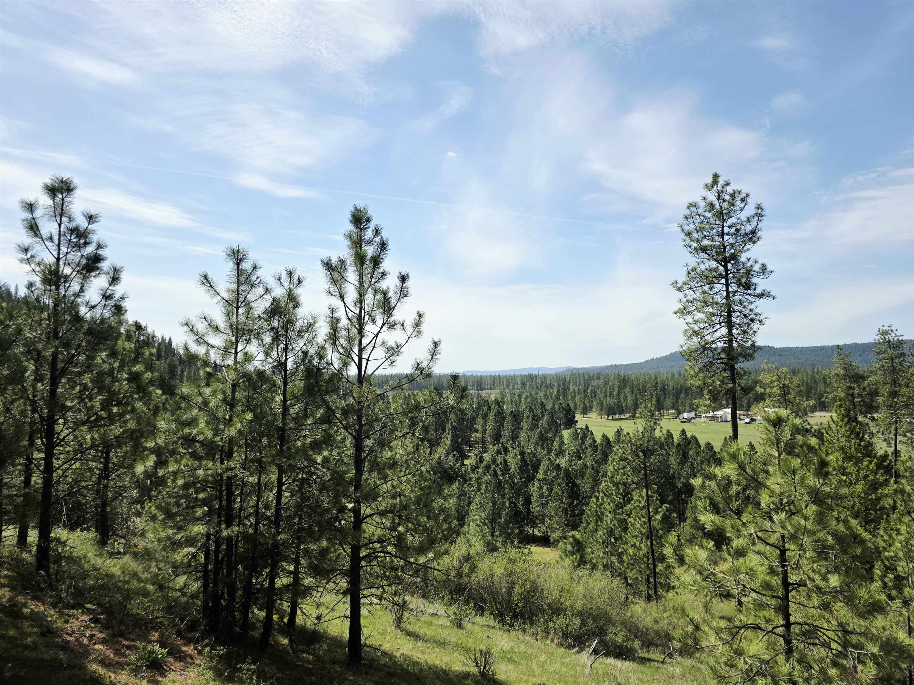 4417-D HWY 231 - Photo 48