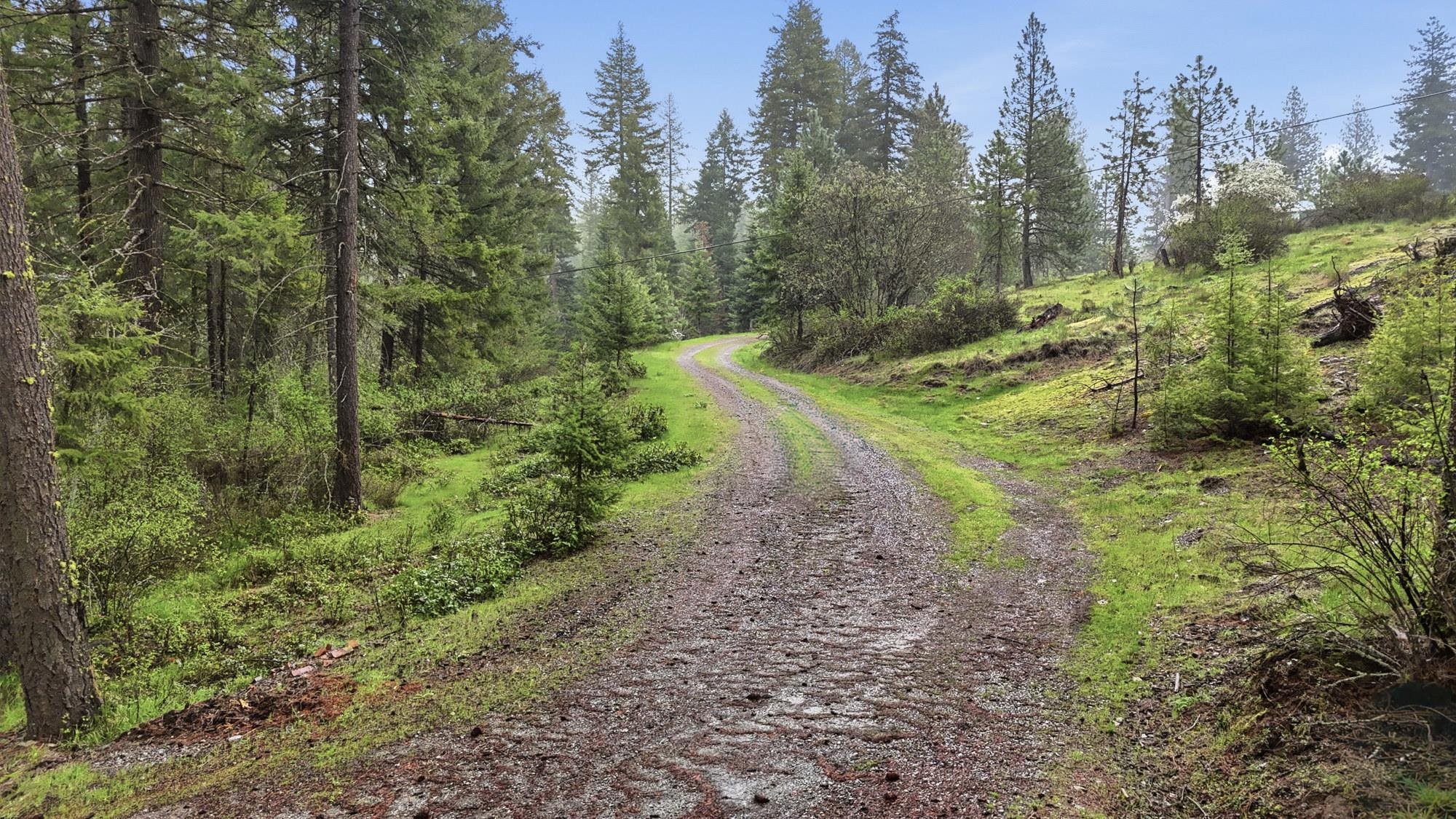 13118 NE Newman Lake Rd - Photo 31
