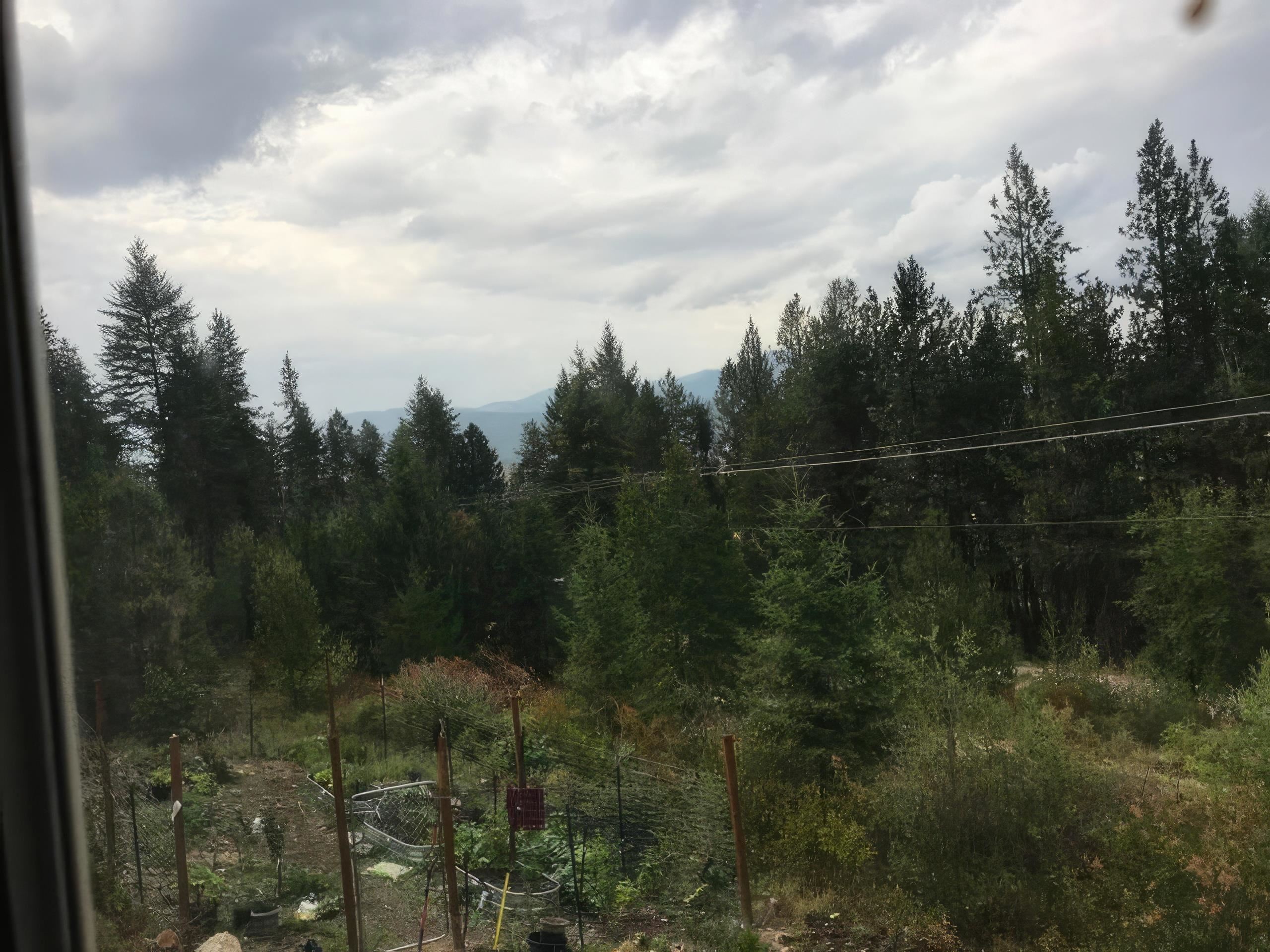 2190 Heine Rd - Photo 18