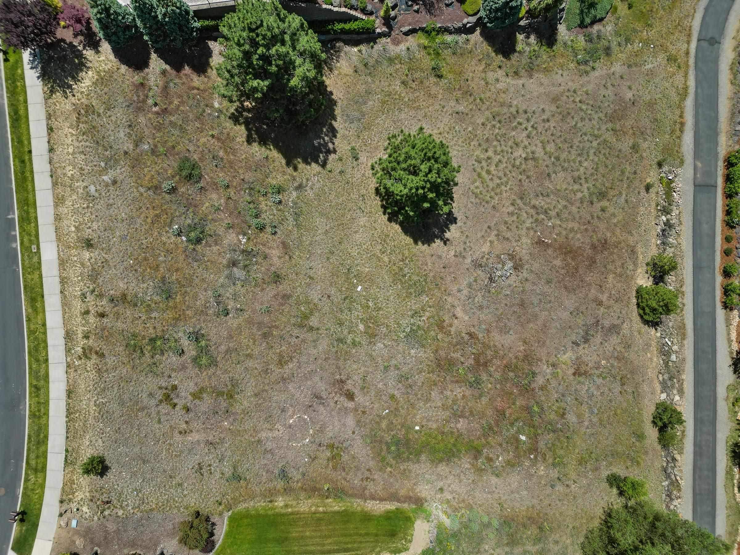 301 N Legend Tree Dr - Photo 8