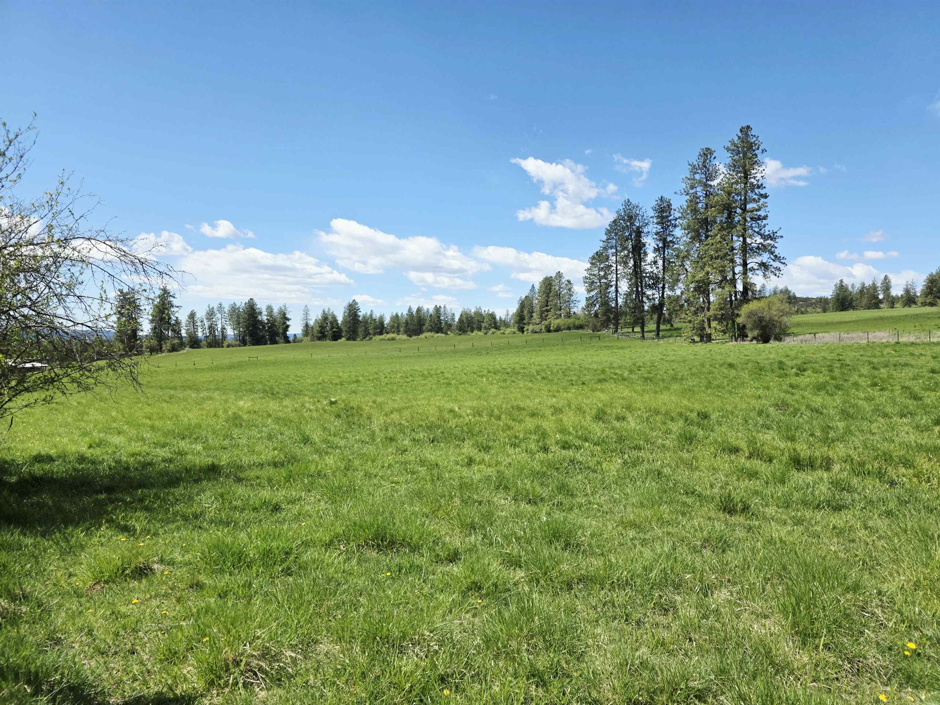 28628 N Dunn Rd - Photo 36
