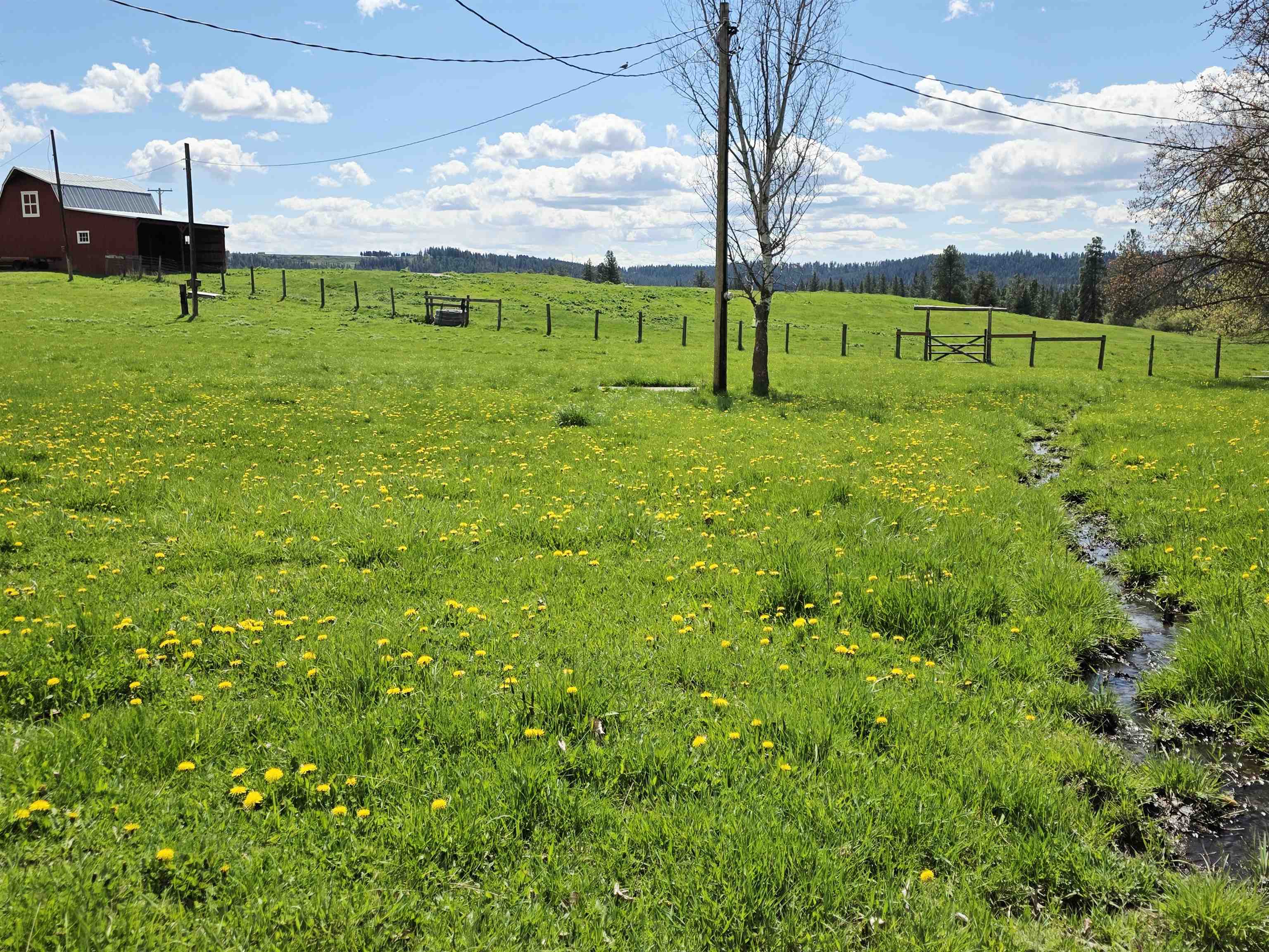28628 N Dunn Rd - Photo 37