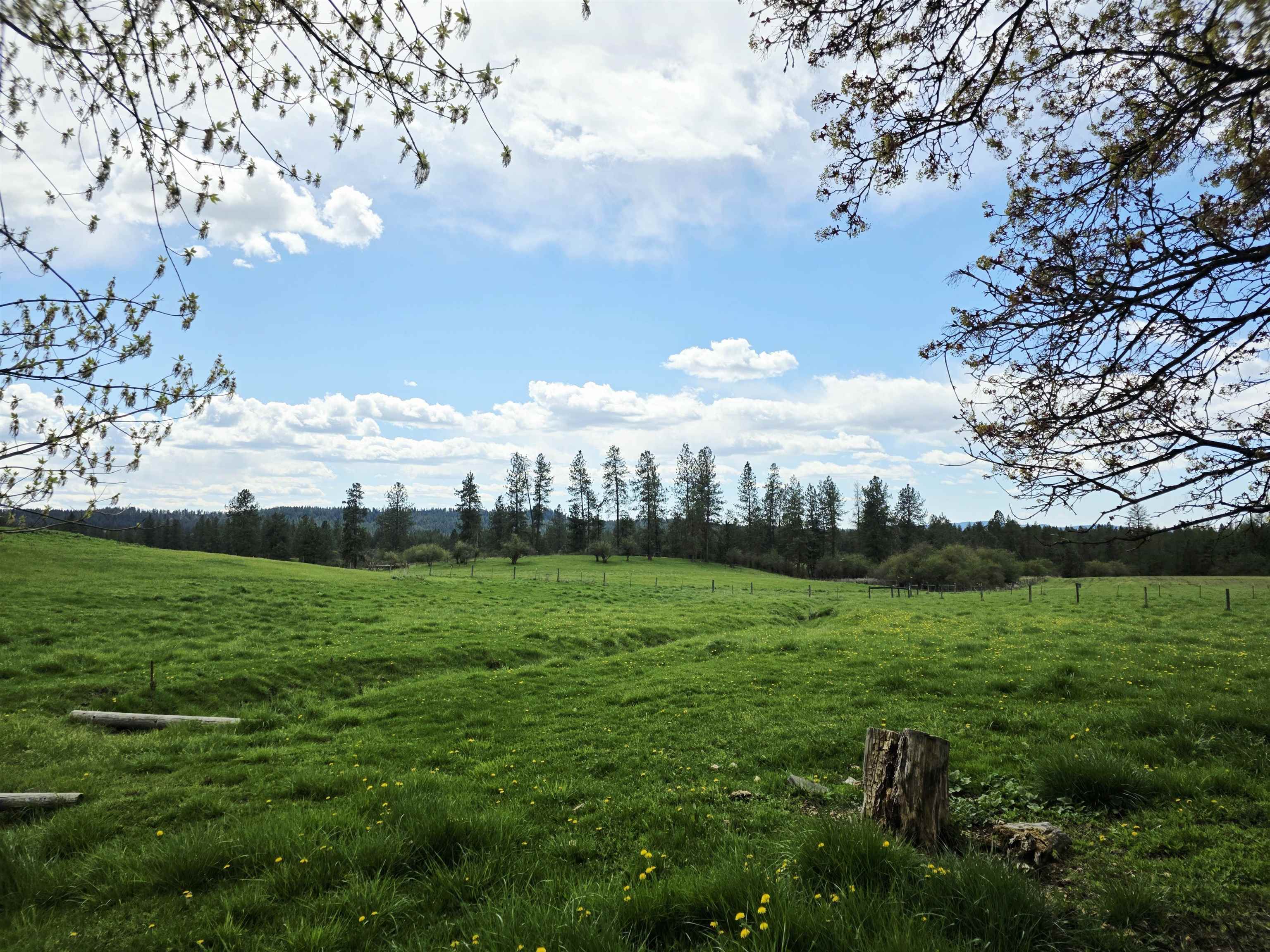 28628 N Dunn Rd - Photo 39