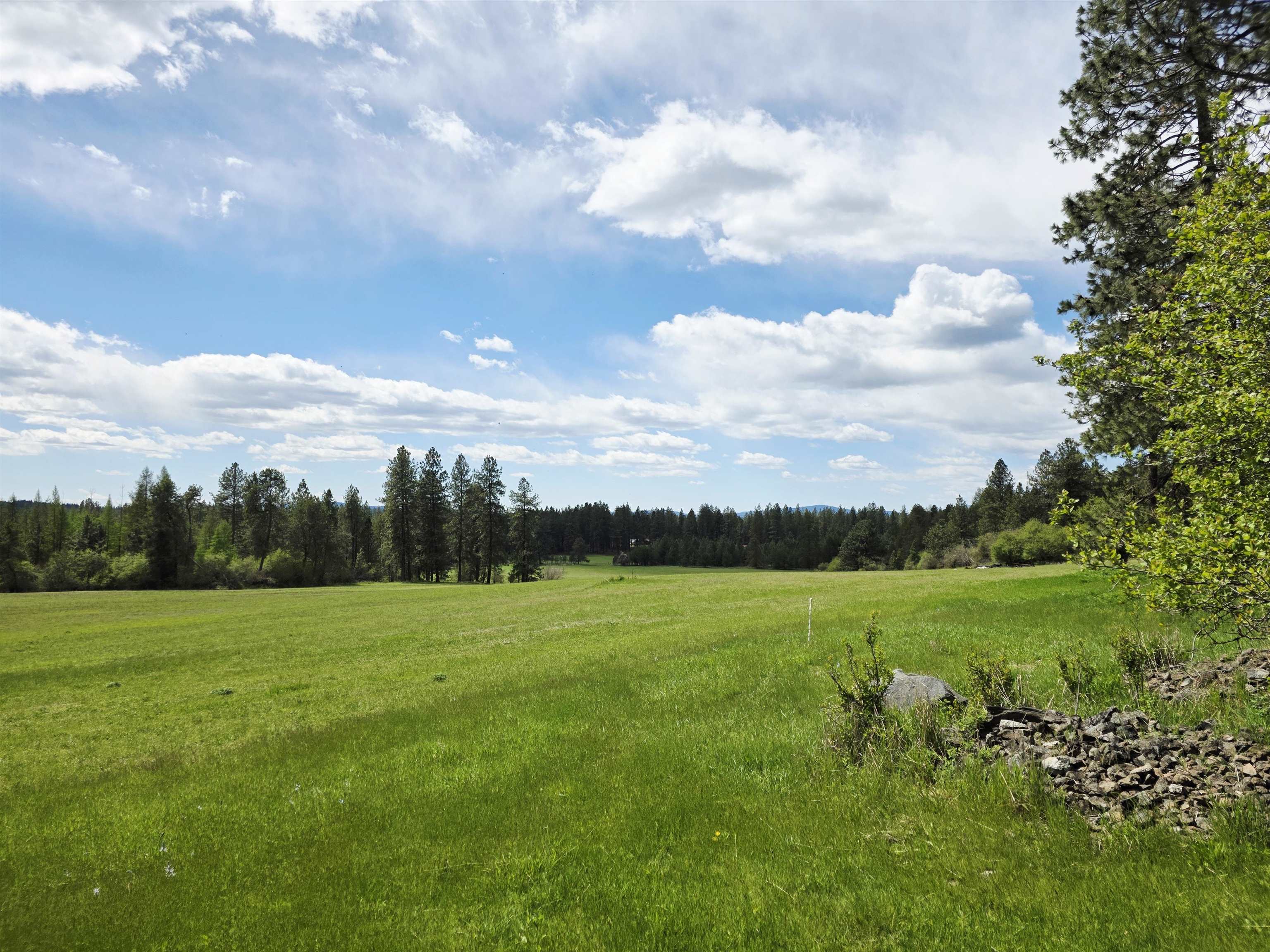 28628 N Dunn Rd - Photo 41