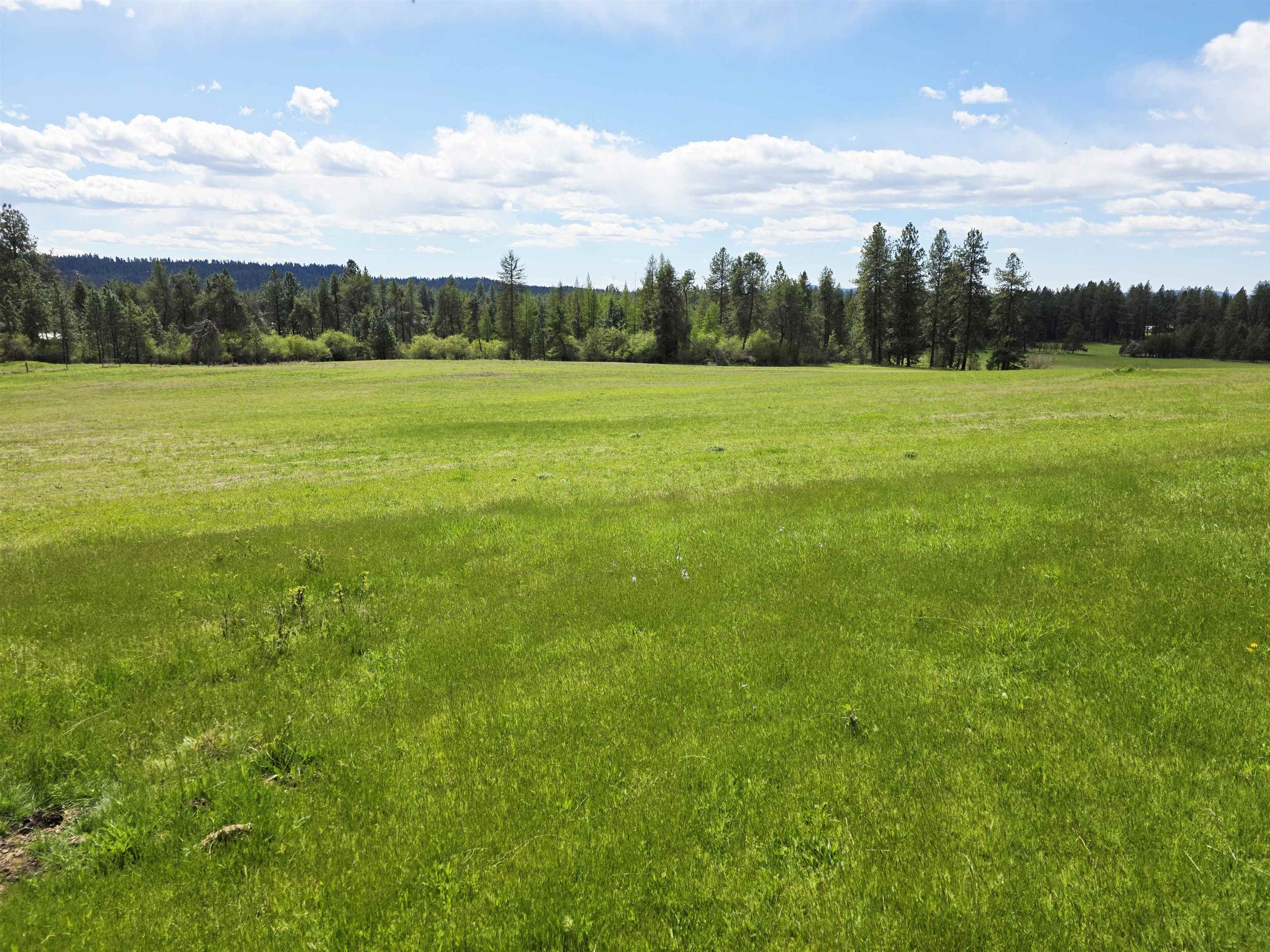 28628 N Dunn Rd - Photo 42