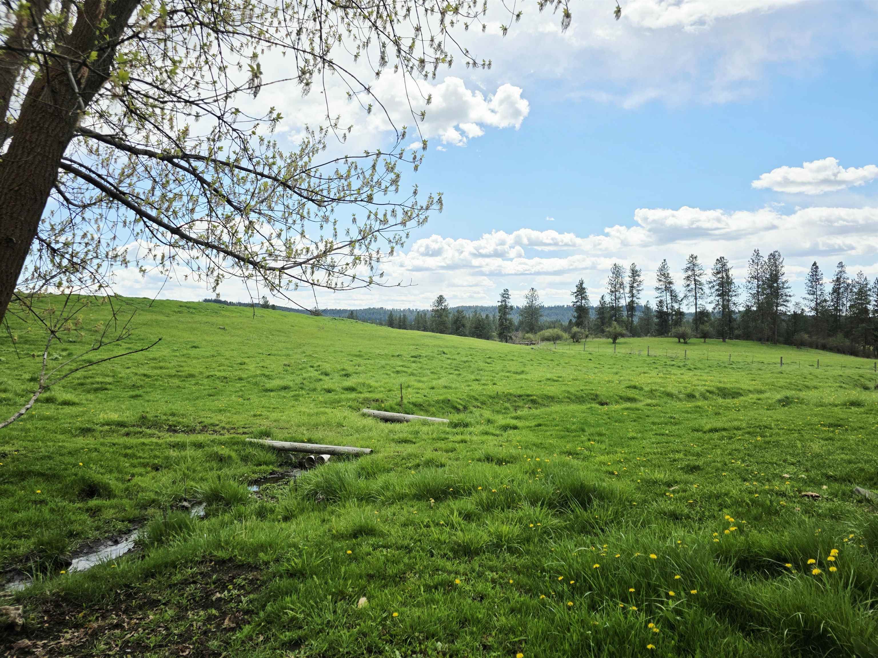 28628 N Dunn Rd - Photo 43