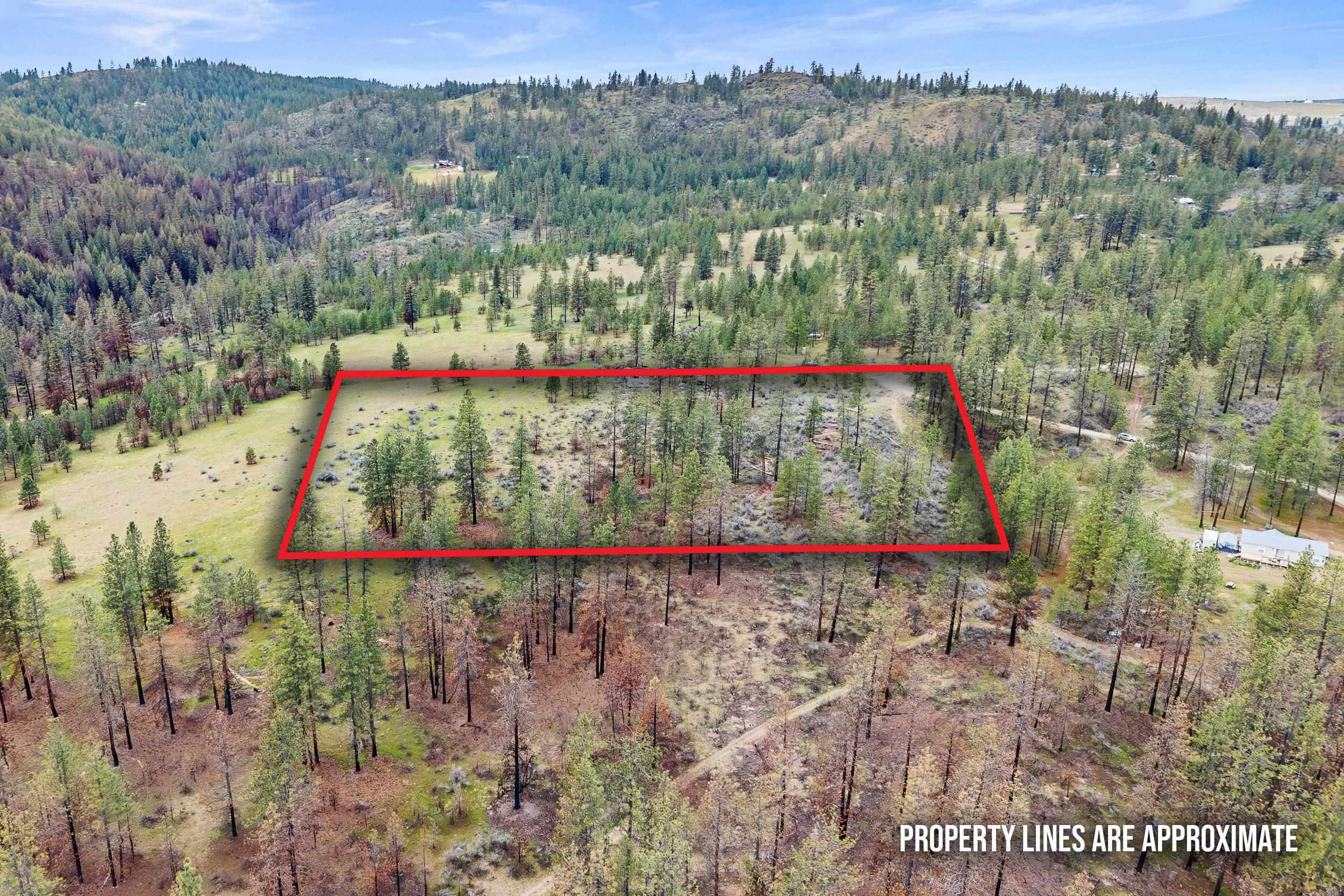 36480 N Western Pines Dr - Photo 3