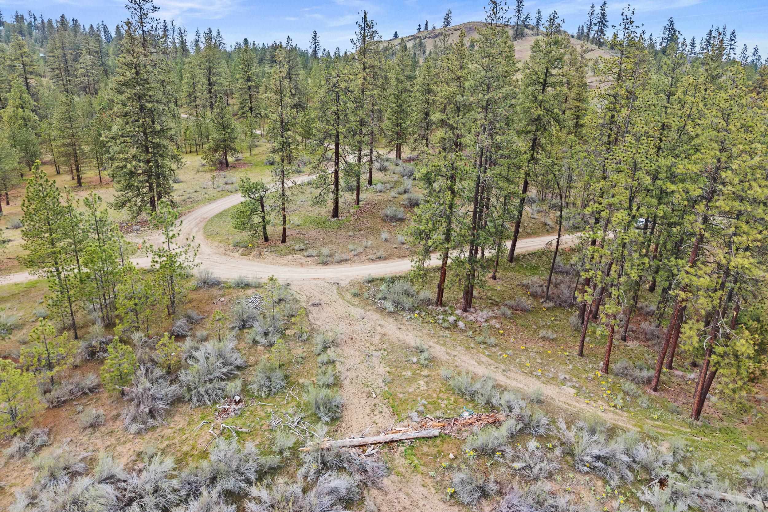 36480 N Western Pines Dr - Photo 5