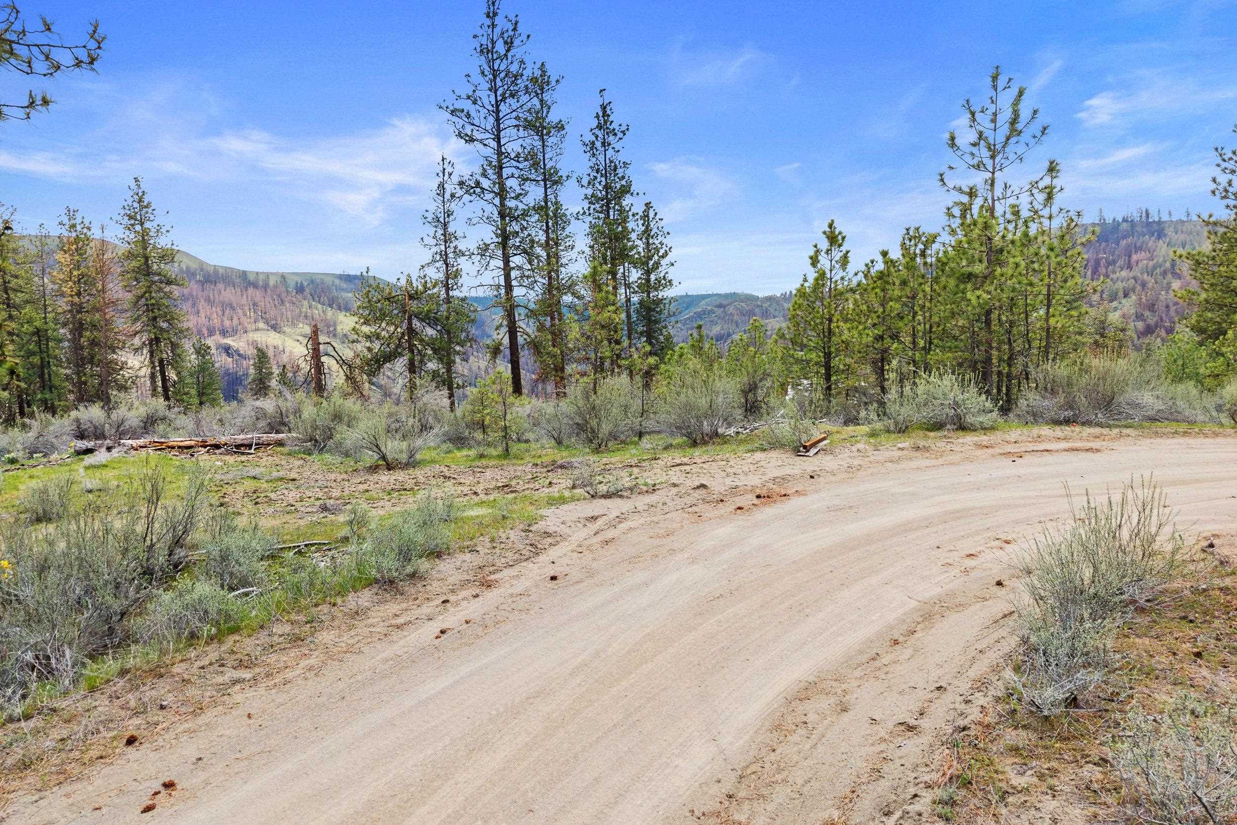 36480 N Western Pines Dr - Photo 6