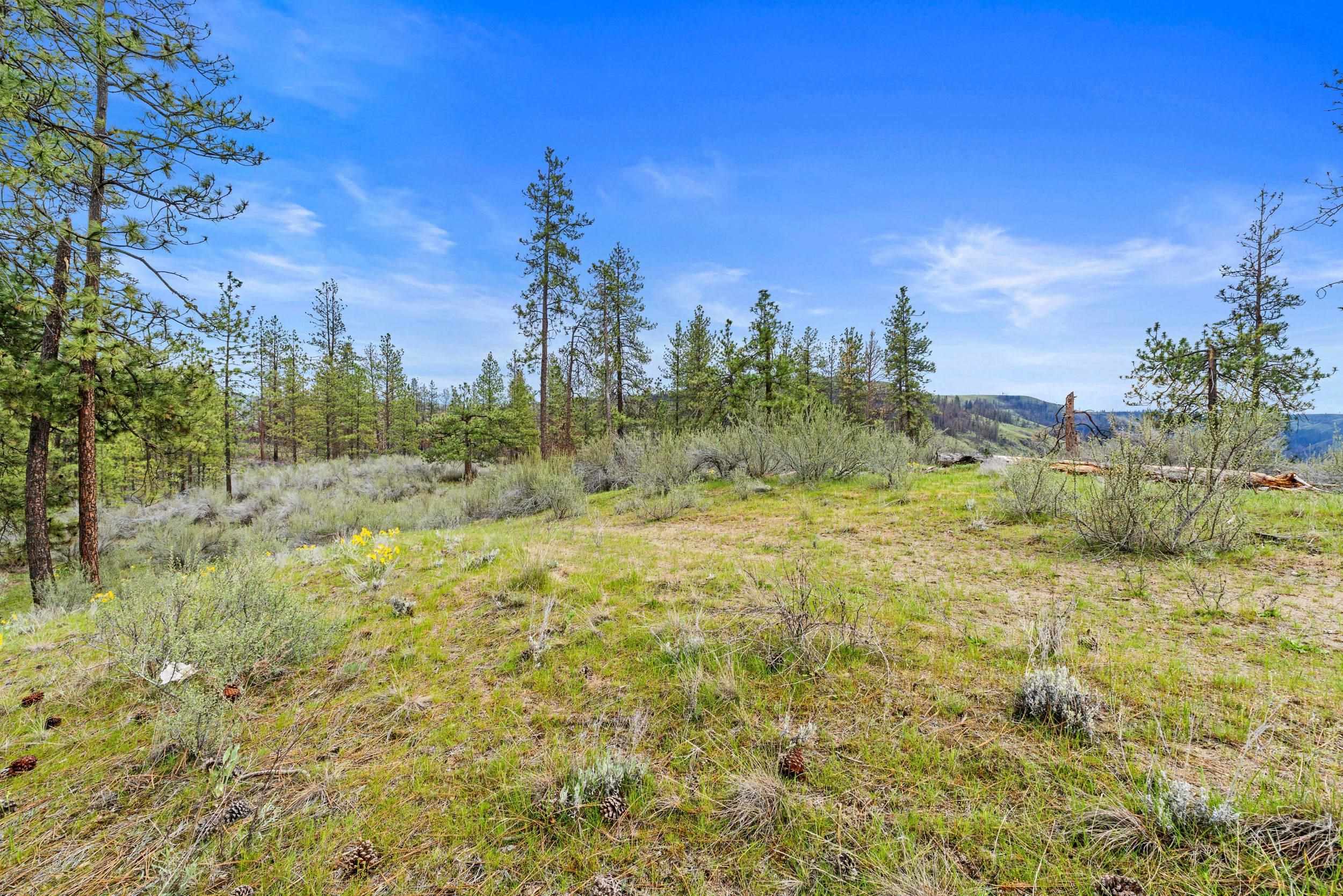 36480 N Western Pines Dr - Photo 7