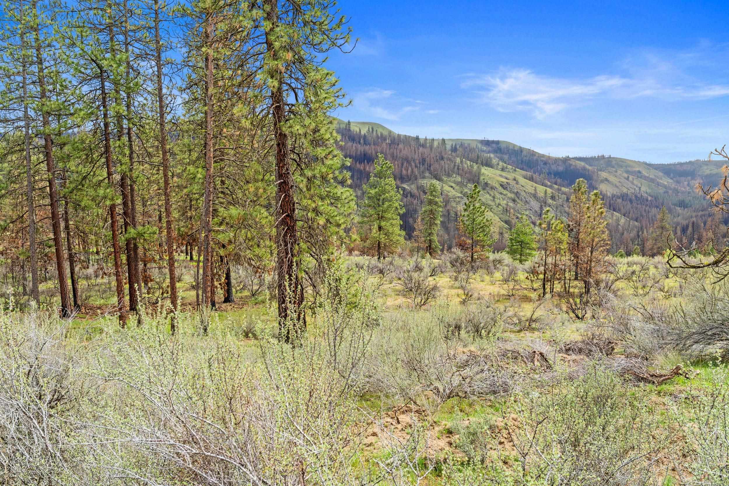 36480 N Western Pines Dr - Photo 8