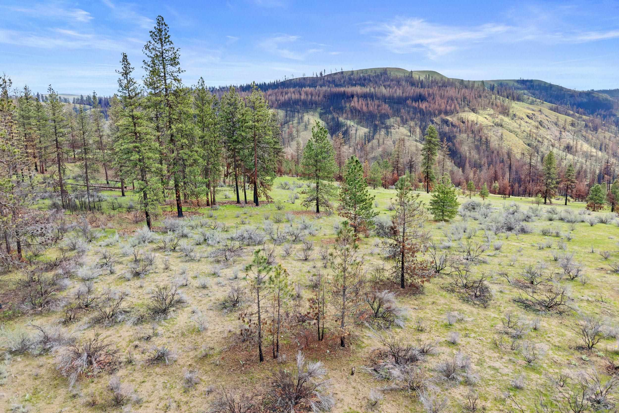 36480 N Western Pines Dr - Photo 10
