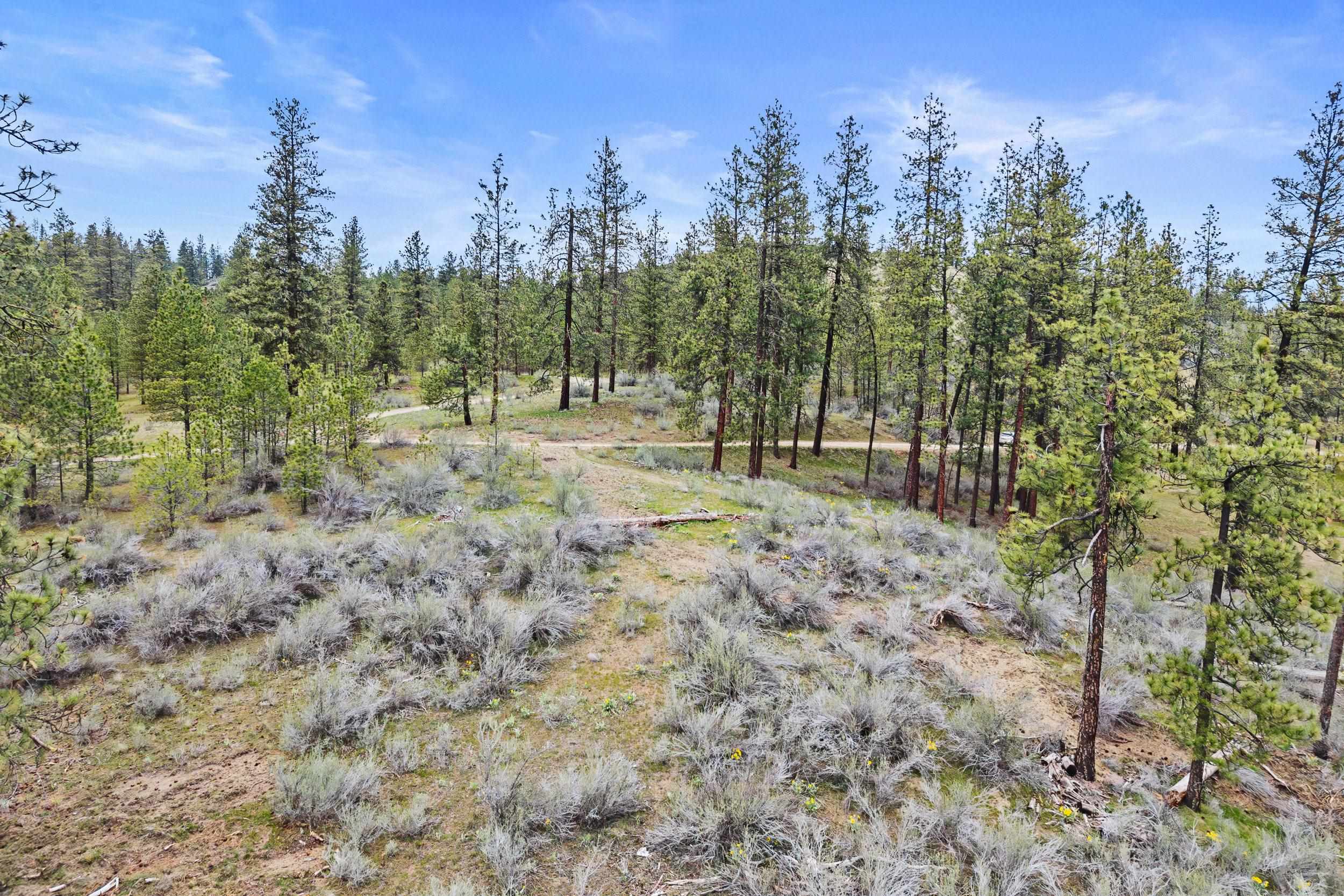 36480 N Western Pines Dr - Photo 11