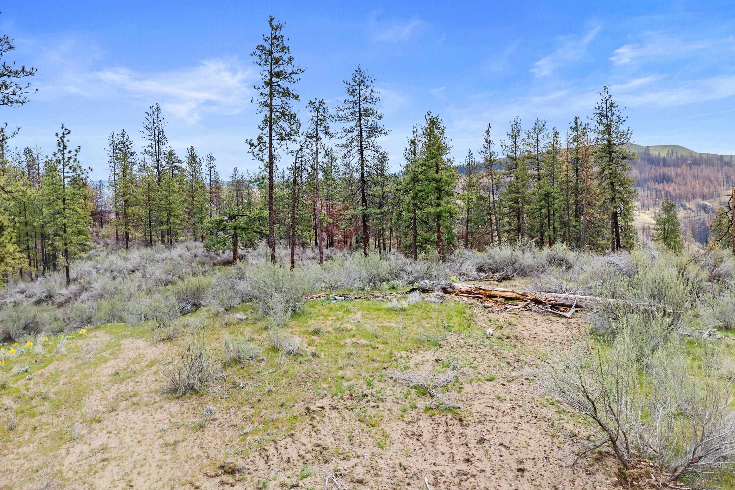 36480 N Western Pines Dr - Photo 14