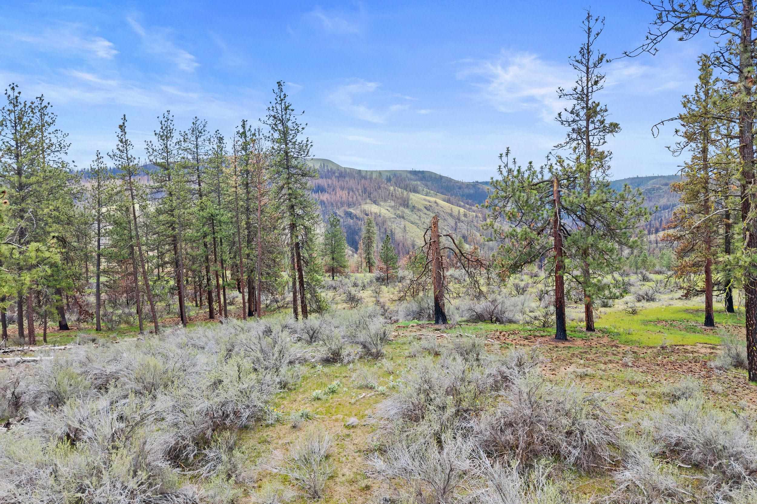 36480 N Western Pines Dr - Photo 15