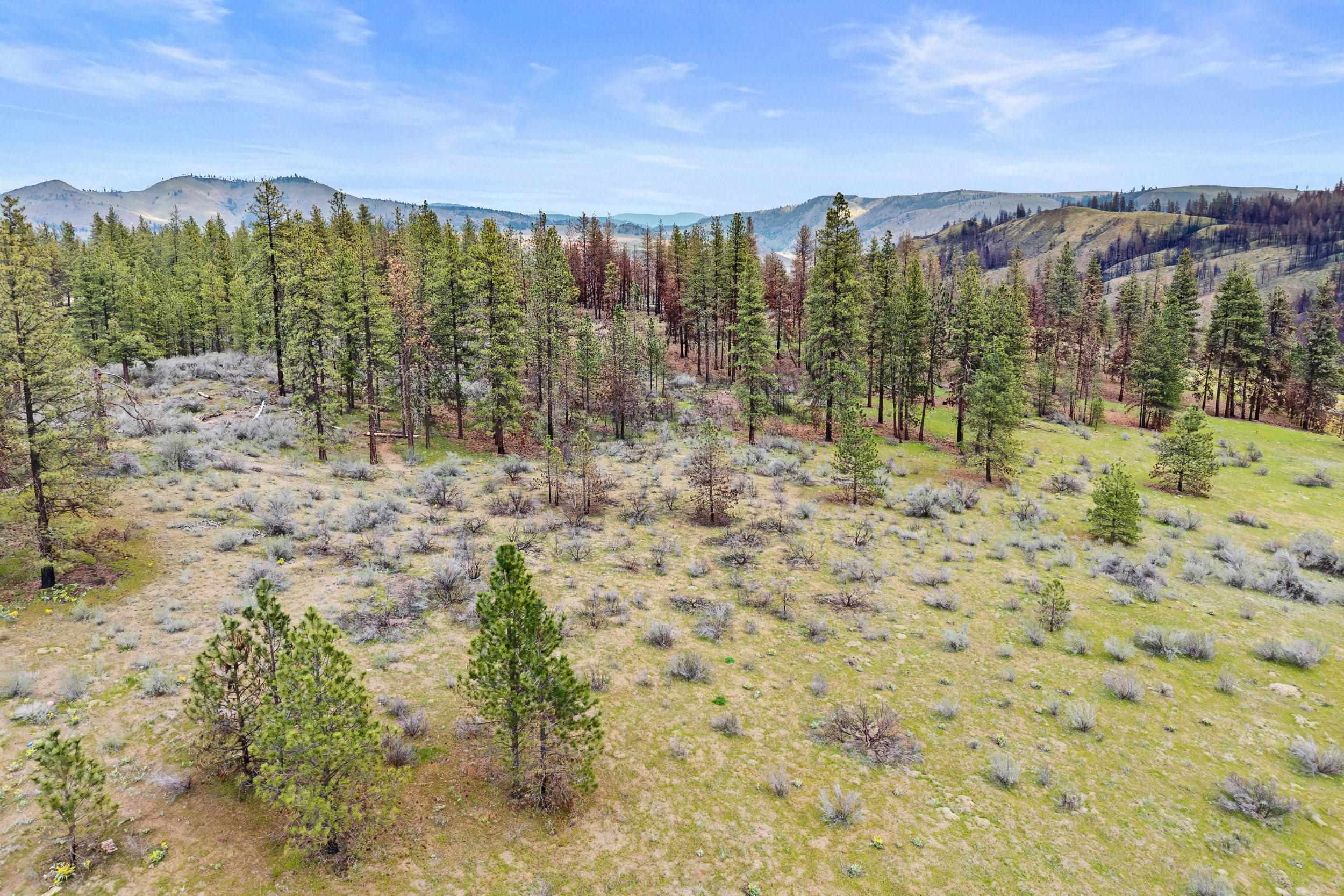 36480 N Western Pines Dr - Photo 19