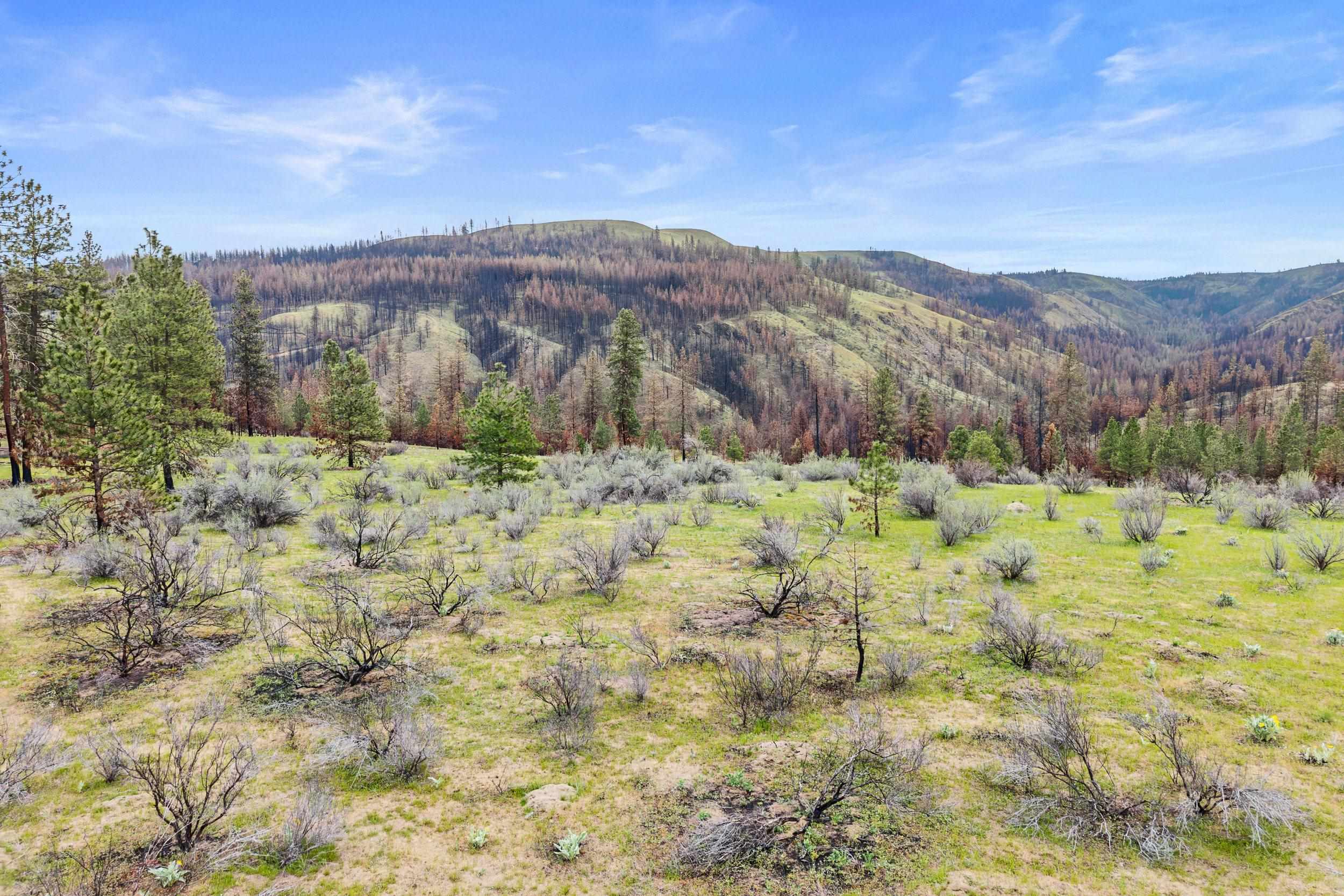 36480 N Western Pines Dr - Photo 22