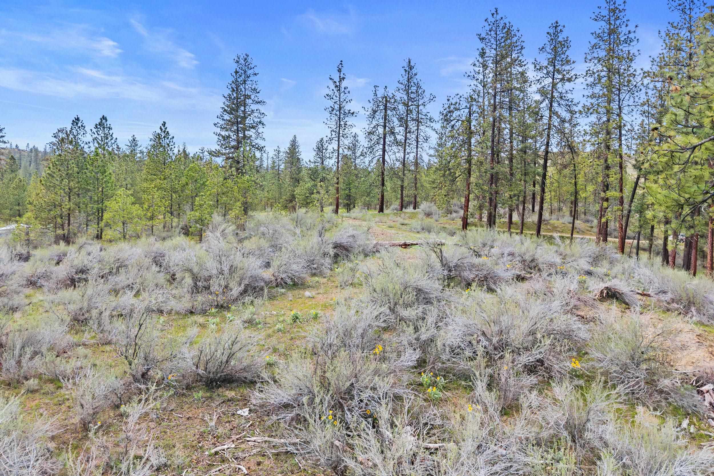 36480 N Western Pines Dr - Photo 23