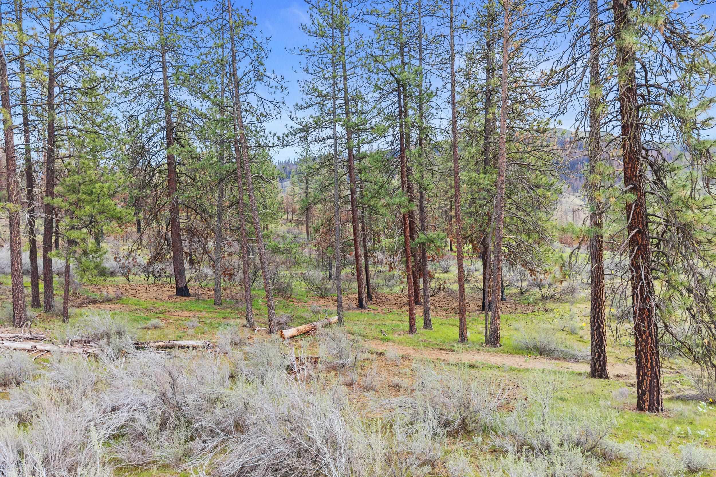 36480 N Western Pines Dr - Photo 24