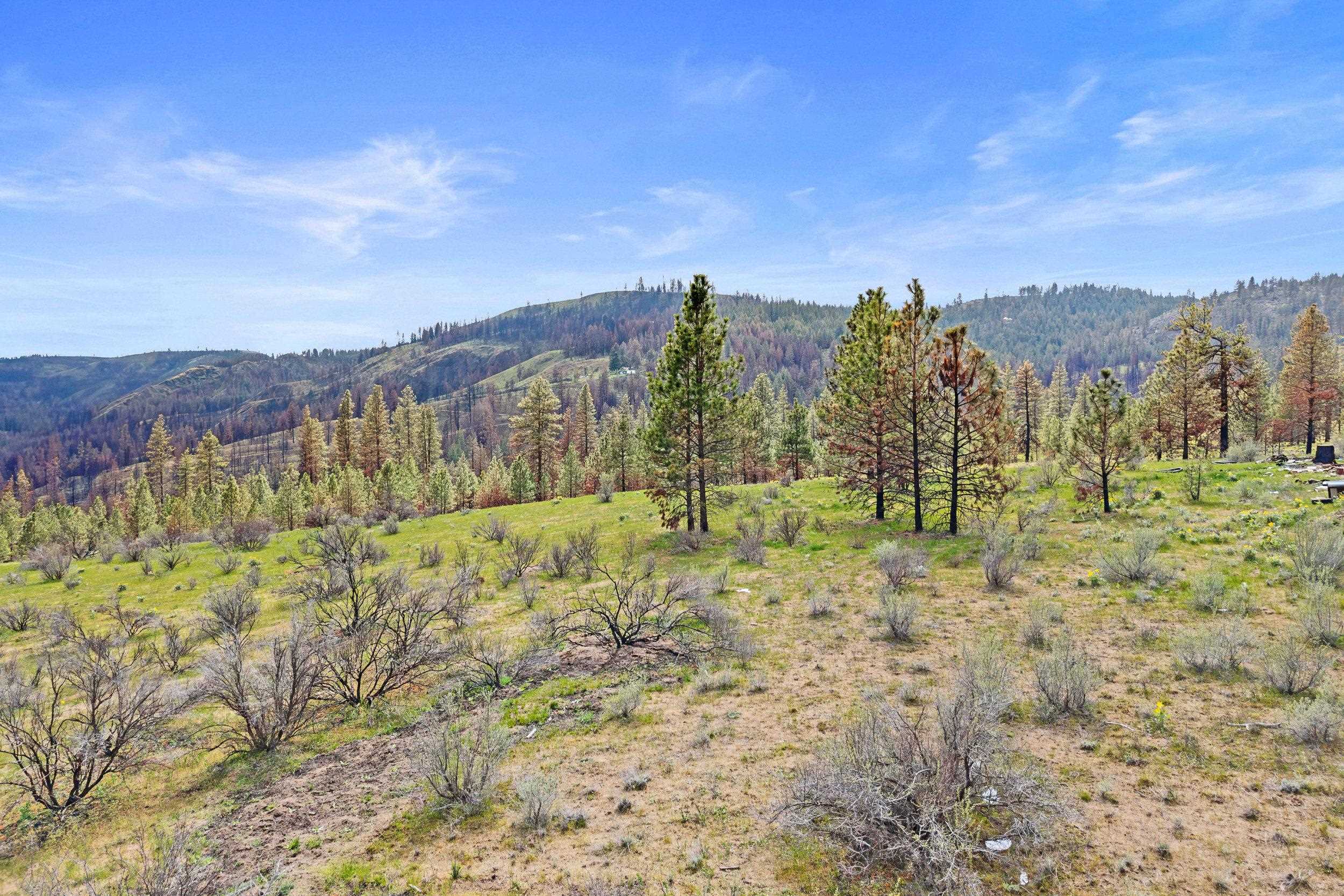 36480 N Western Pines Dr - Photo 25