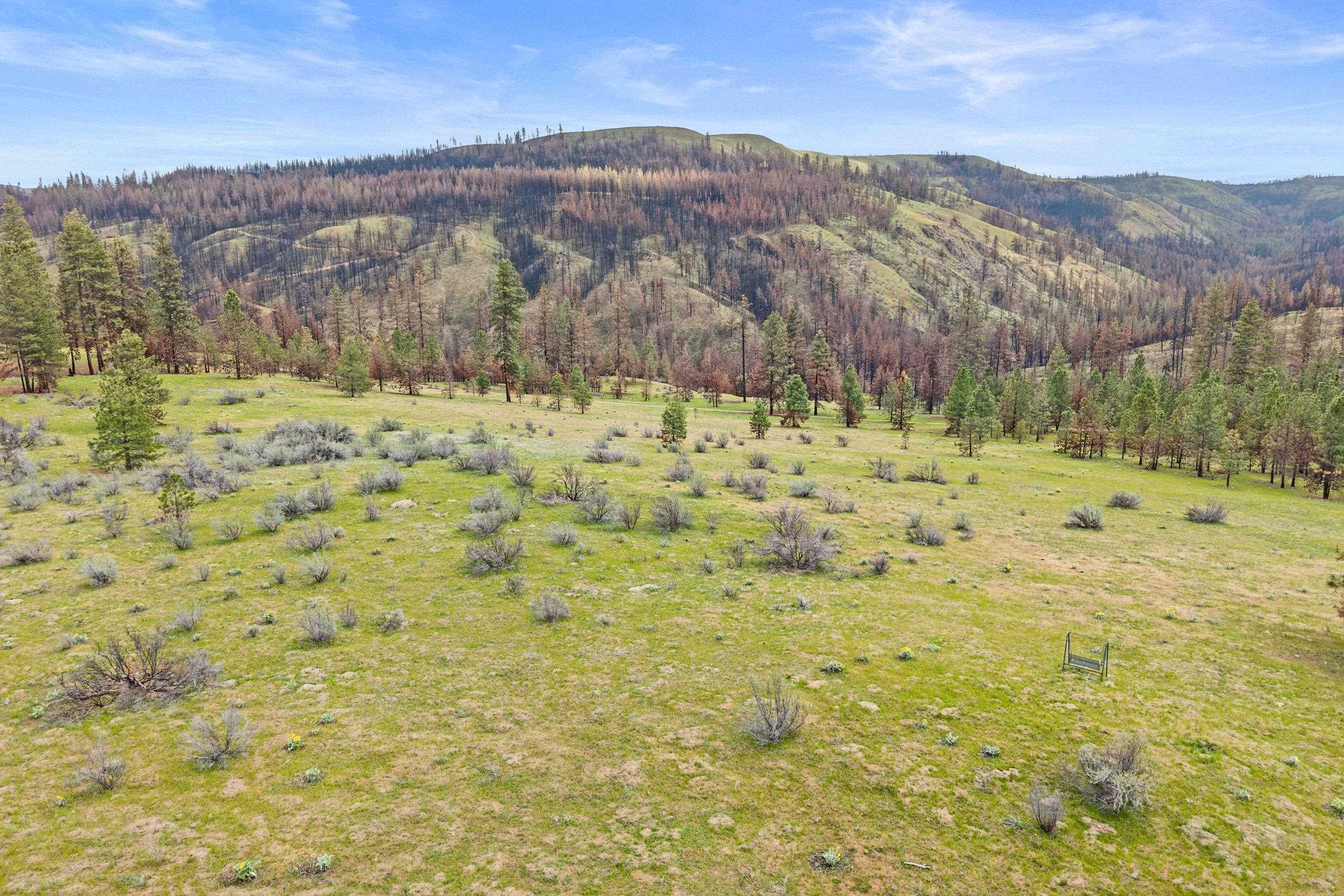 36480 N Western Pines Dr - Photo 27