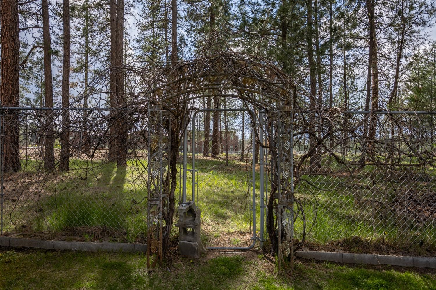 16101 N Chronicle Ln - Photo 30