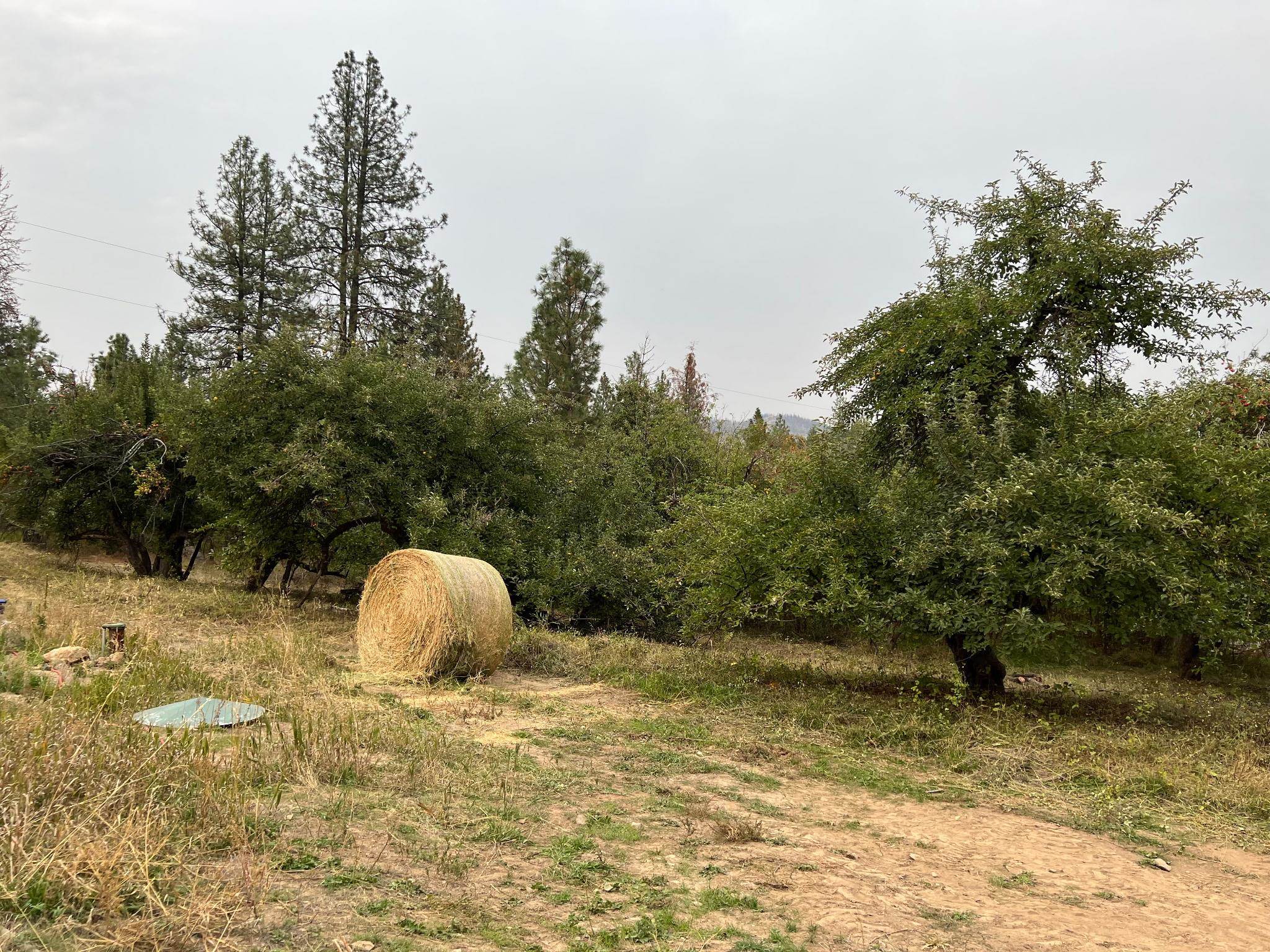 5344 Happy Hill Rd - Photo 35