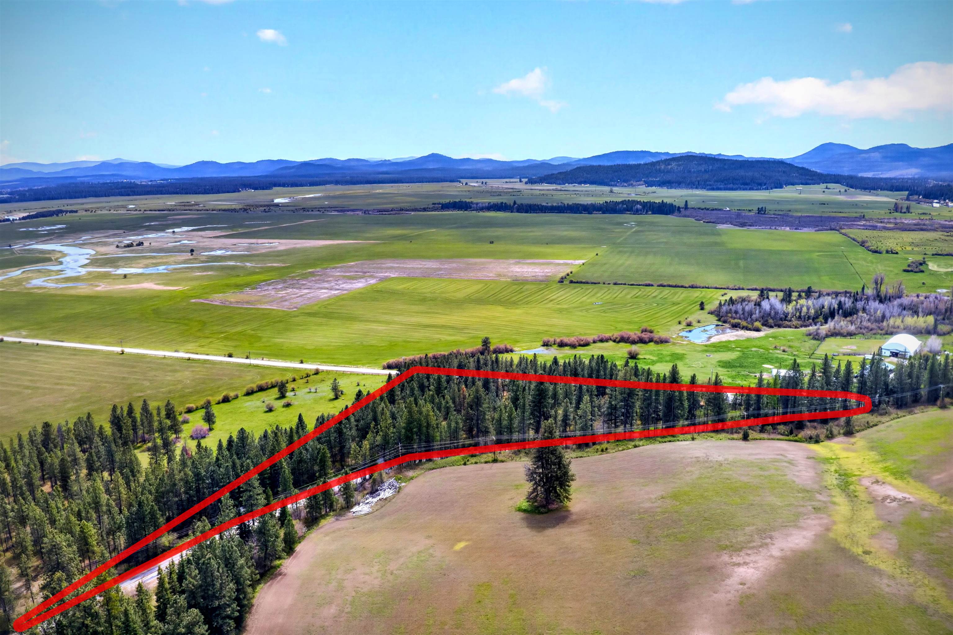 1602 Cusick Meadows Rd - Photo 23
