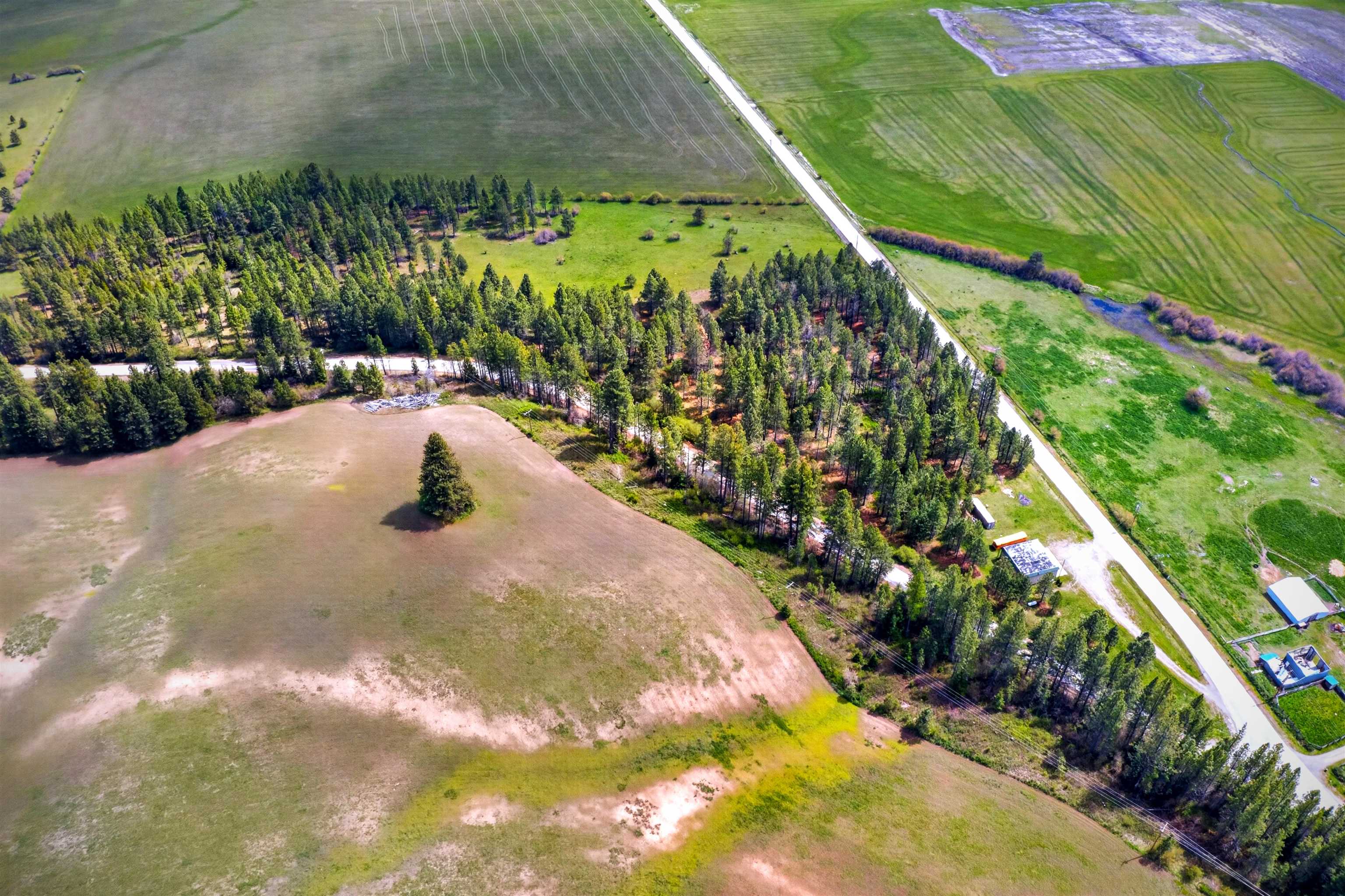 1602 Cusick Meadows Rd - Photo 24