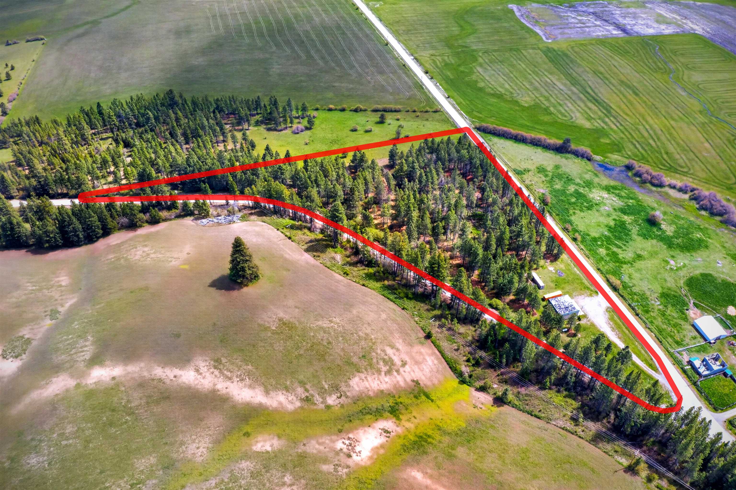 1602 Cusick Meadows Rd - Photo 25