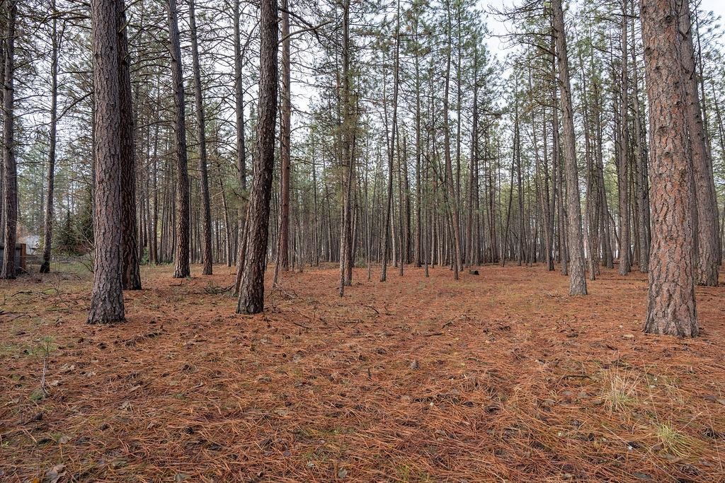 10203 N Nine Mile Rd - Photo 39