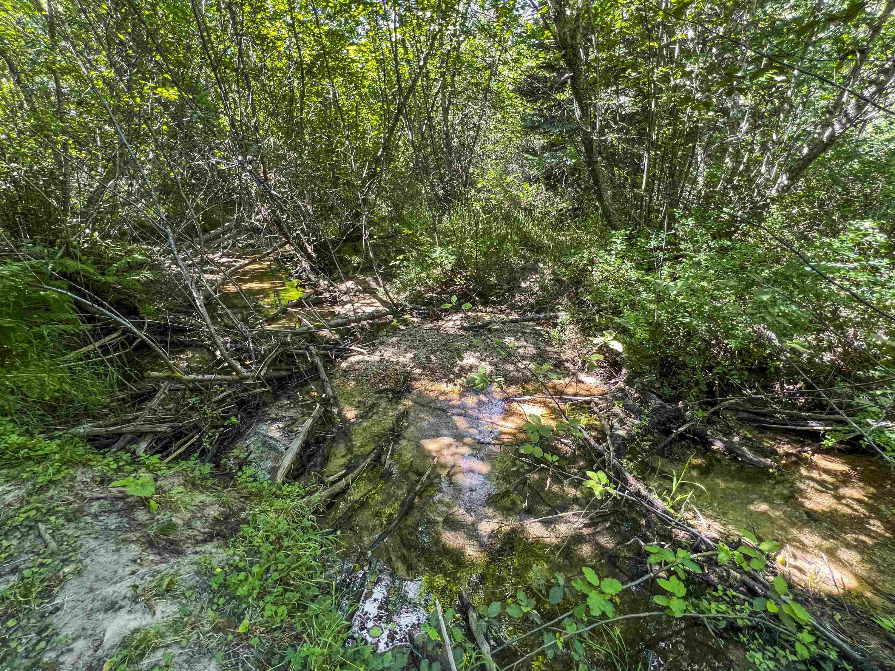 114XX E Antler Rd - Photo 7