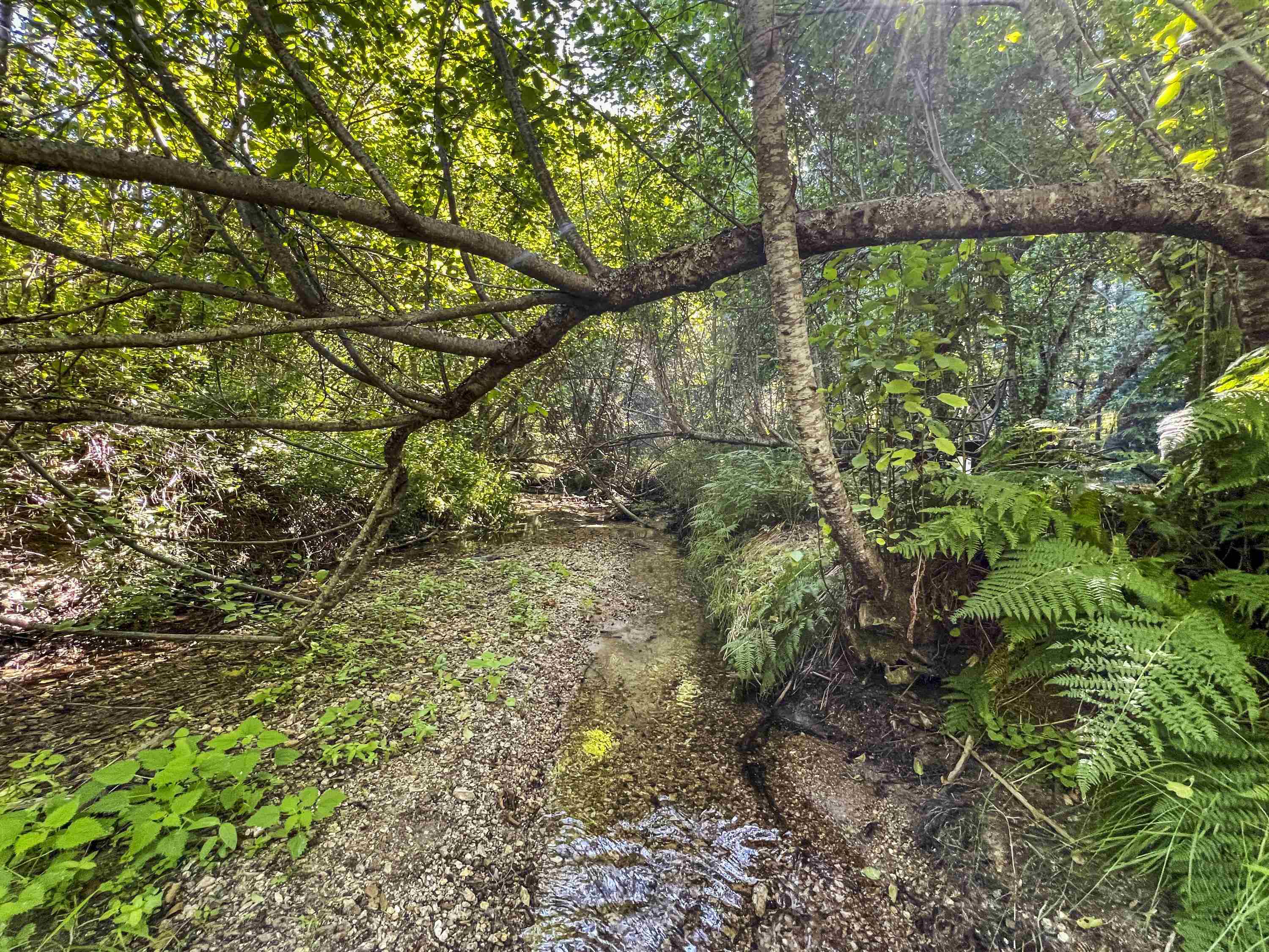 114XX E Antler Rd - Photo 1