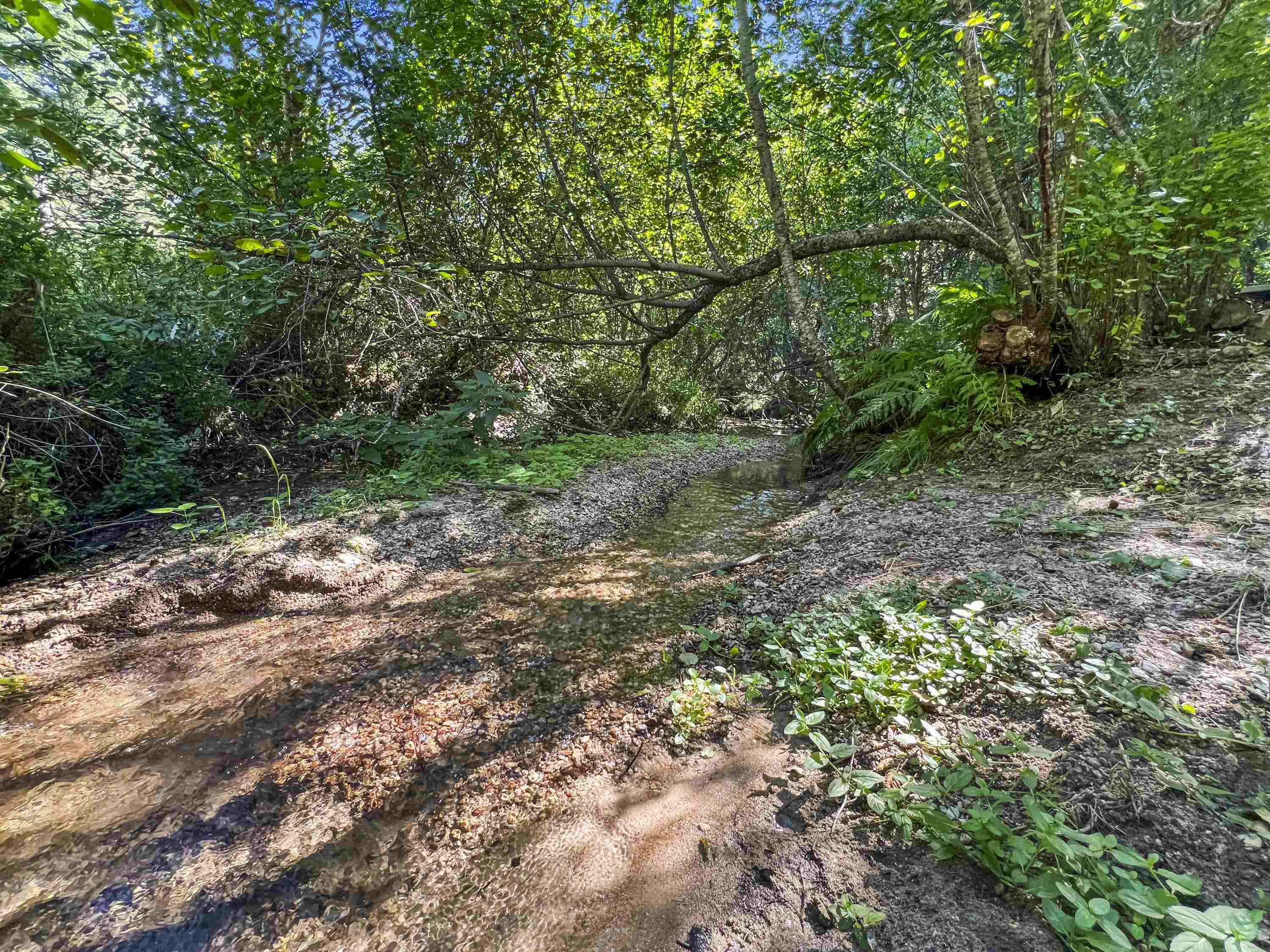 114XX E Antler Rd - Photo 10