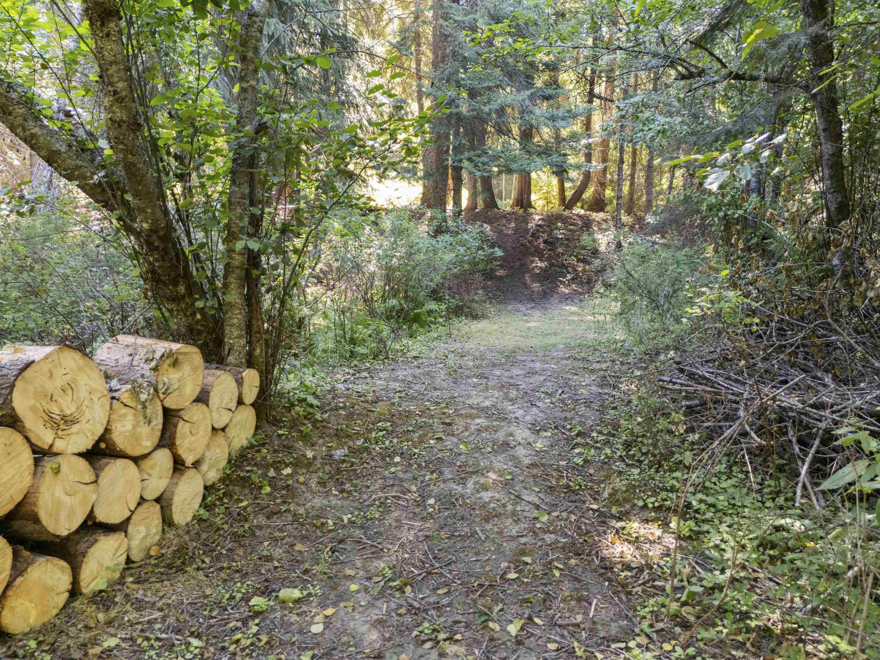 114XX E Antler Rd - Photo 4