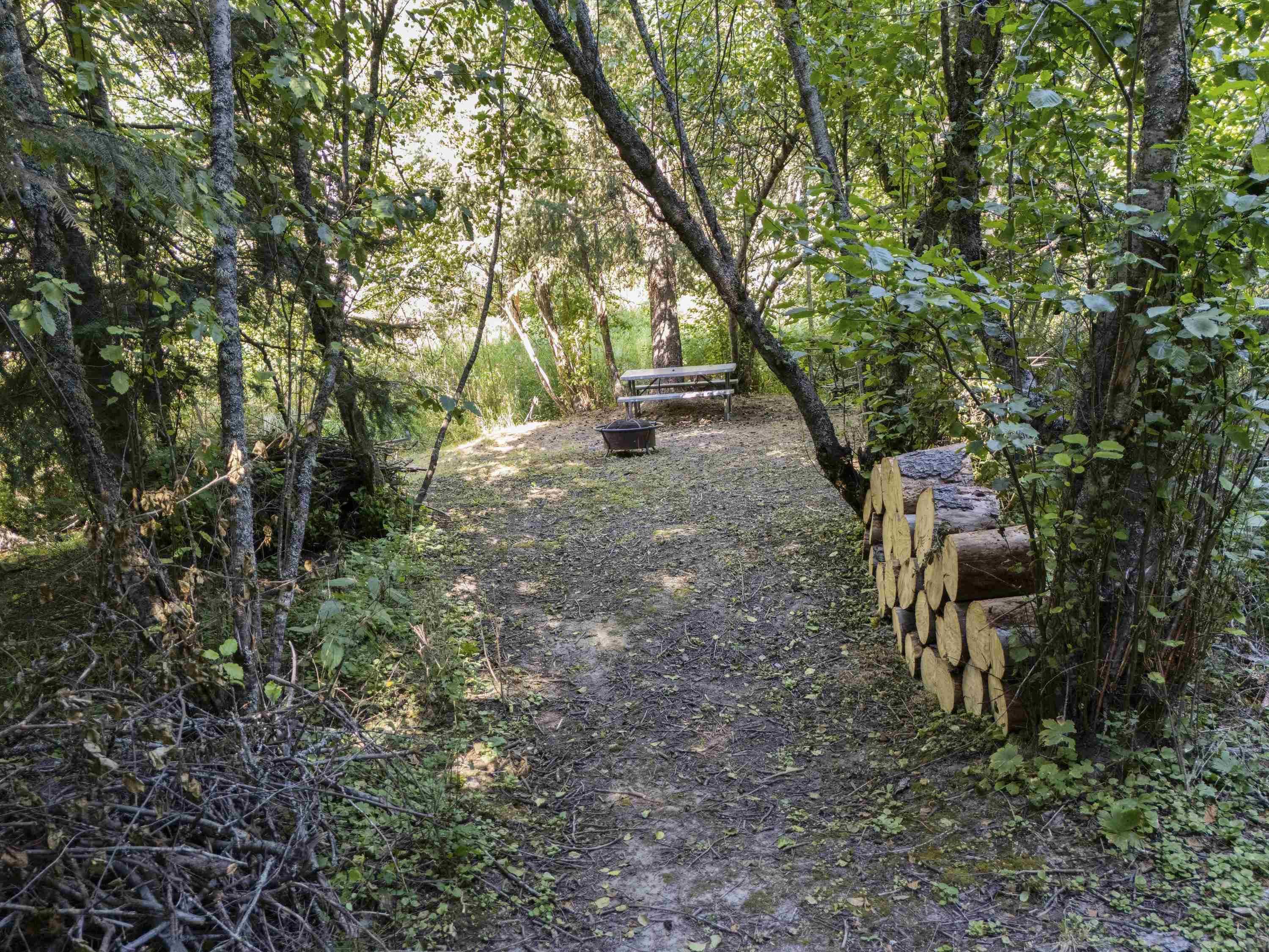 114XX E Antler Rd - Photo 3