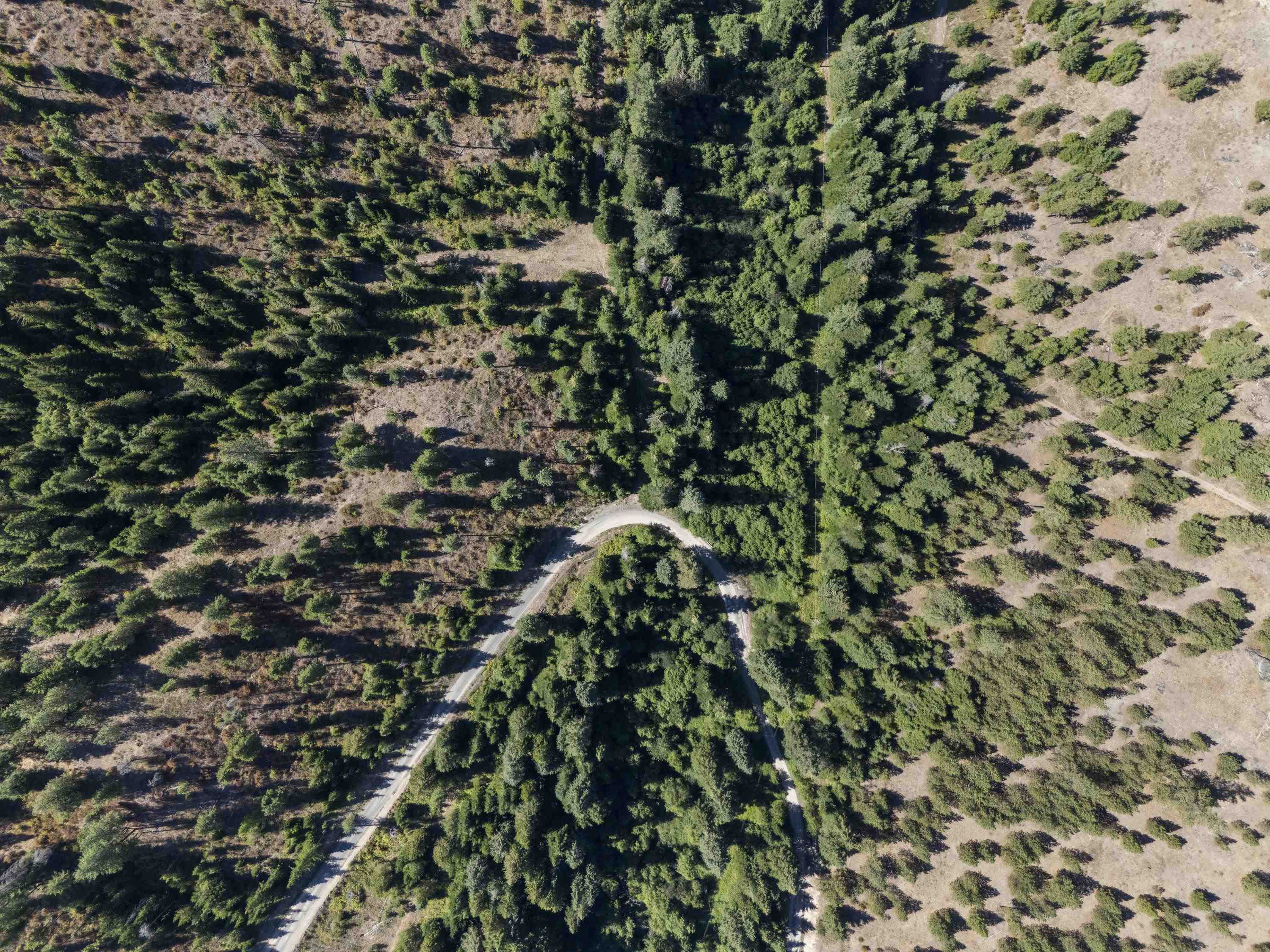 114XX E Antler Rd - Photo 16